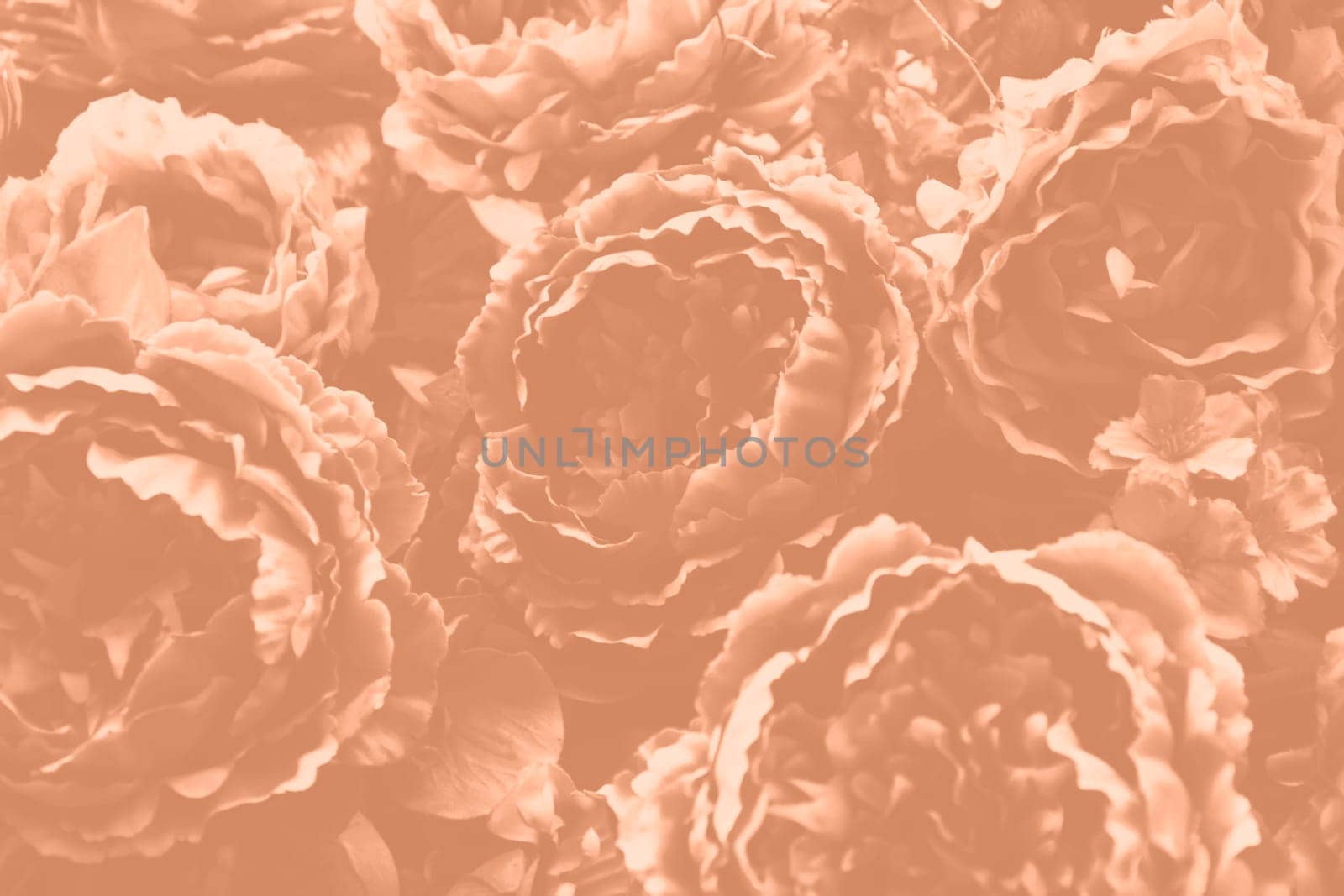 Handmade fabric flower close up Peach Fuzz color. Monochrome background with fabric craft flower. Trendy colour 2024. High quality photo