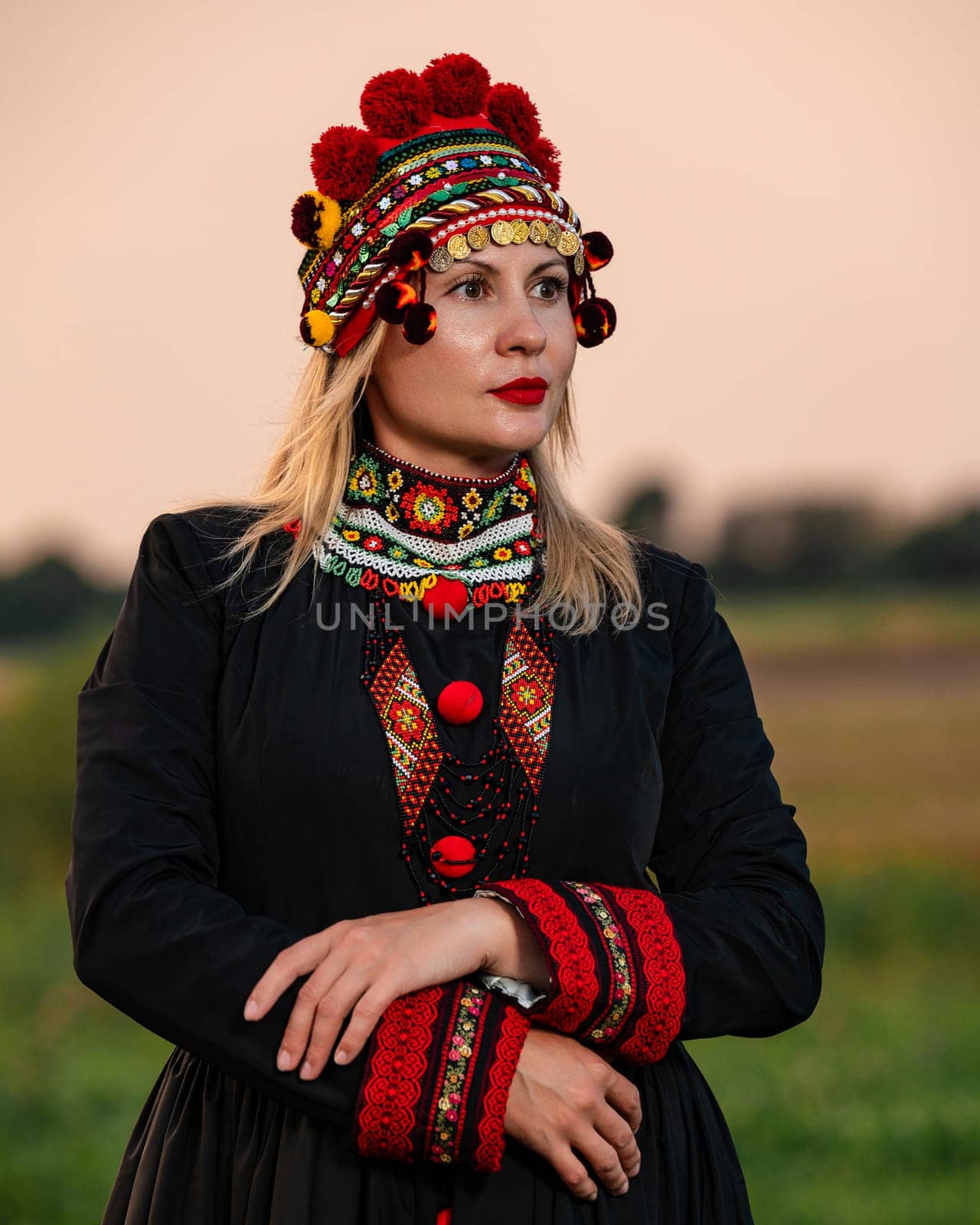 A girl in a chelsea headdress and a black dress decorated with red embroidery on the background of a field and sky. by Niko_Cingaryuk