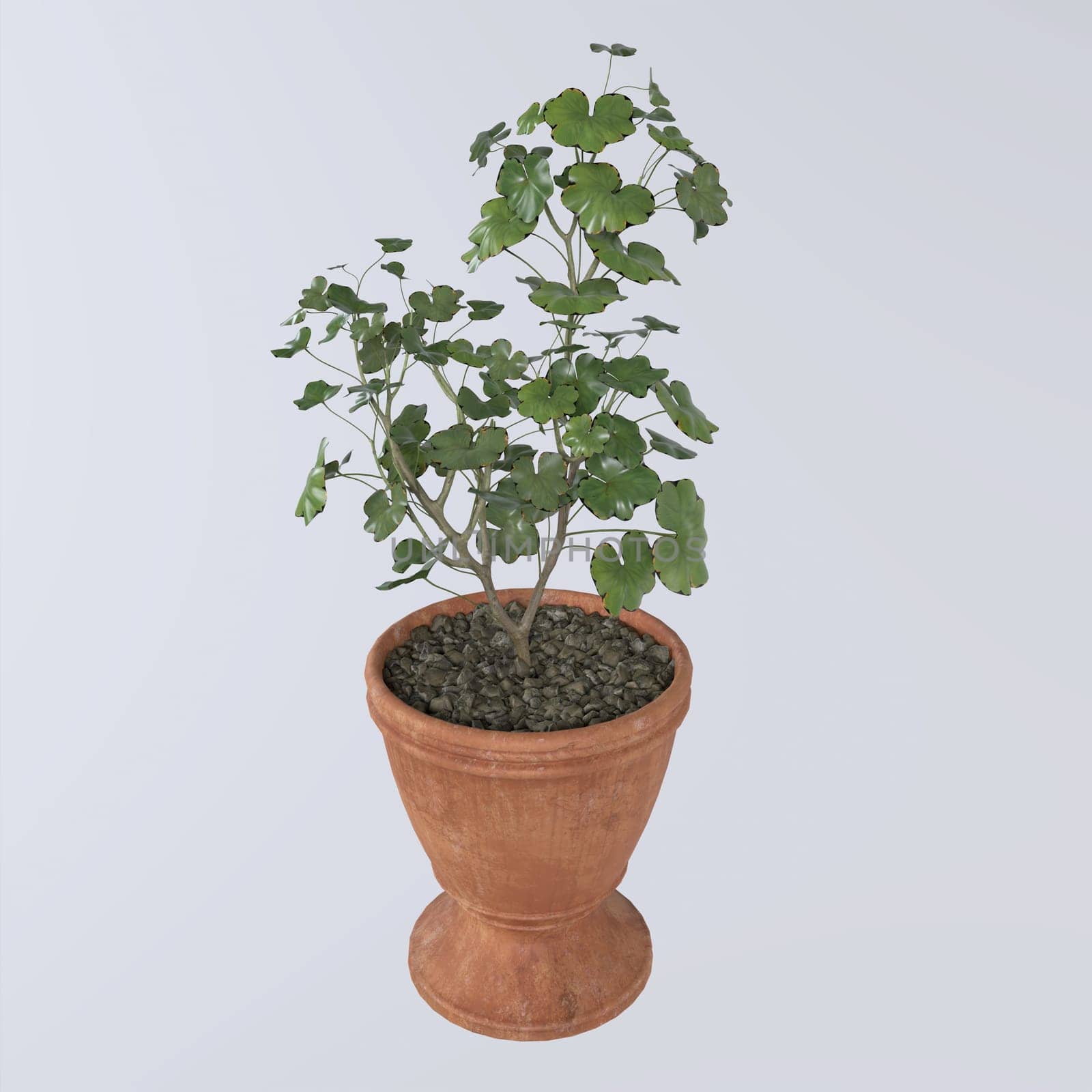 Flowerpot isolated on white background. High quality 3d illustration