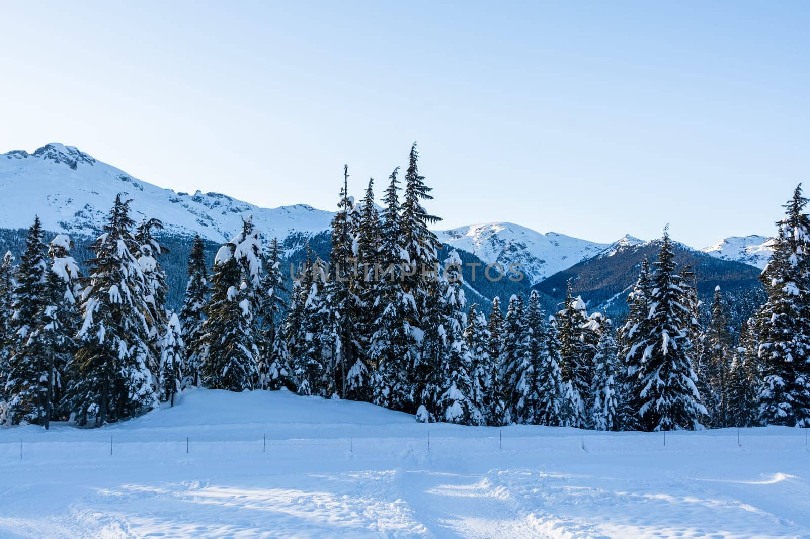 Winter view on mountains and forest in snow from Olympic village in Wistler, BC