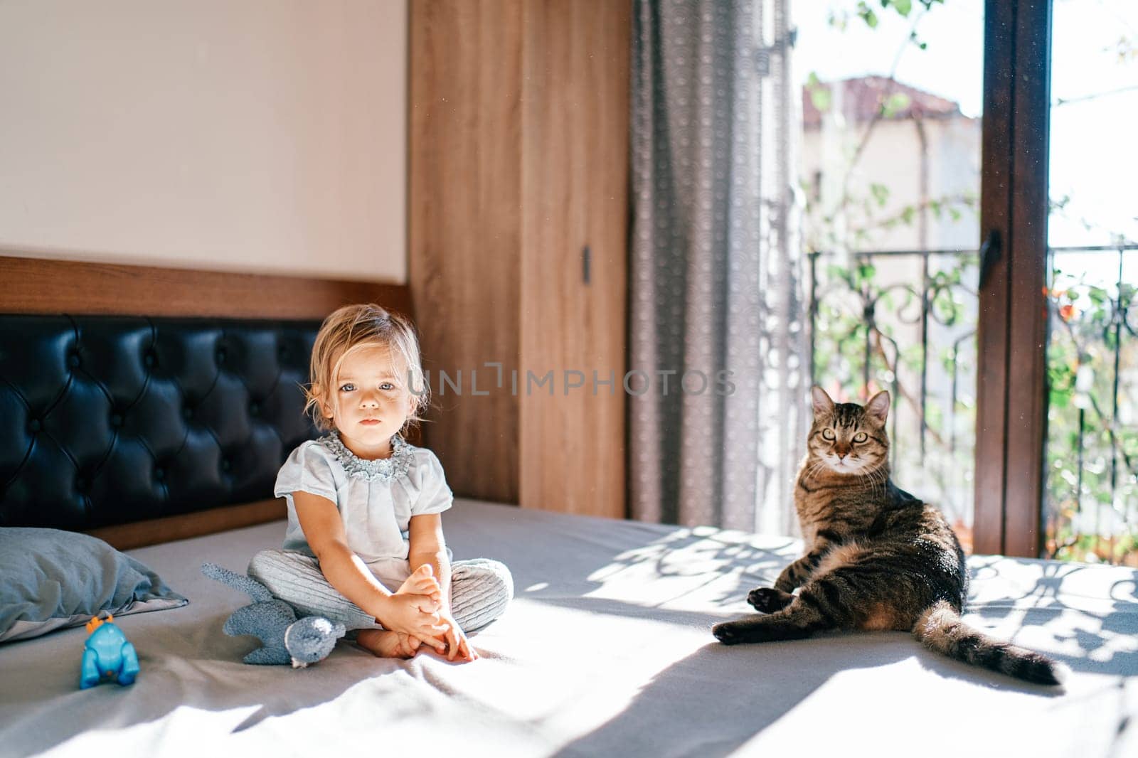 Little girl with her legs folded sits near a lying tabby cat on the bed. High quality photo