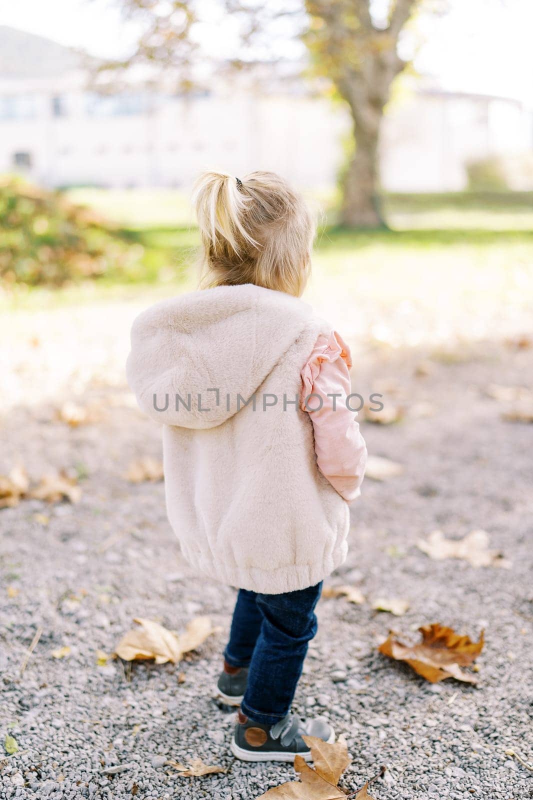 Little girl in a fur vest stands on a path among fallen leaves. Back view. High quality photo