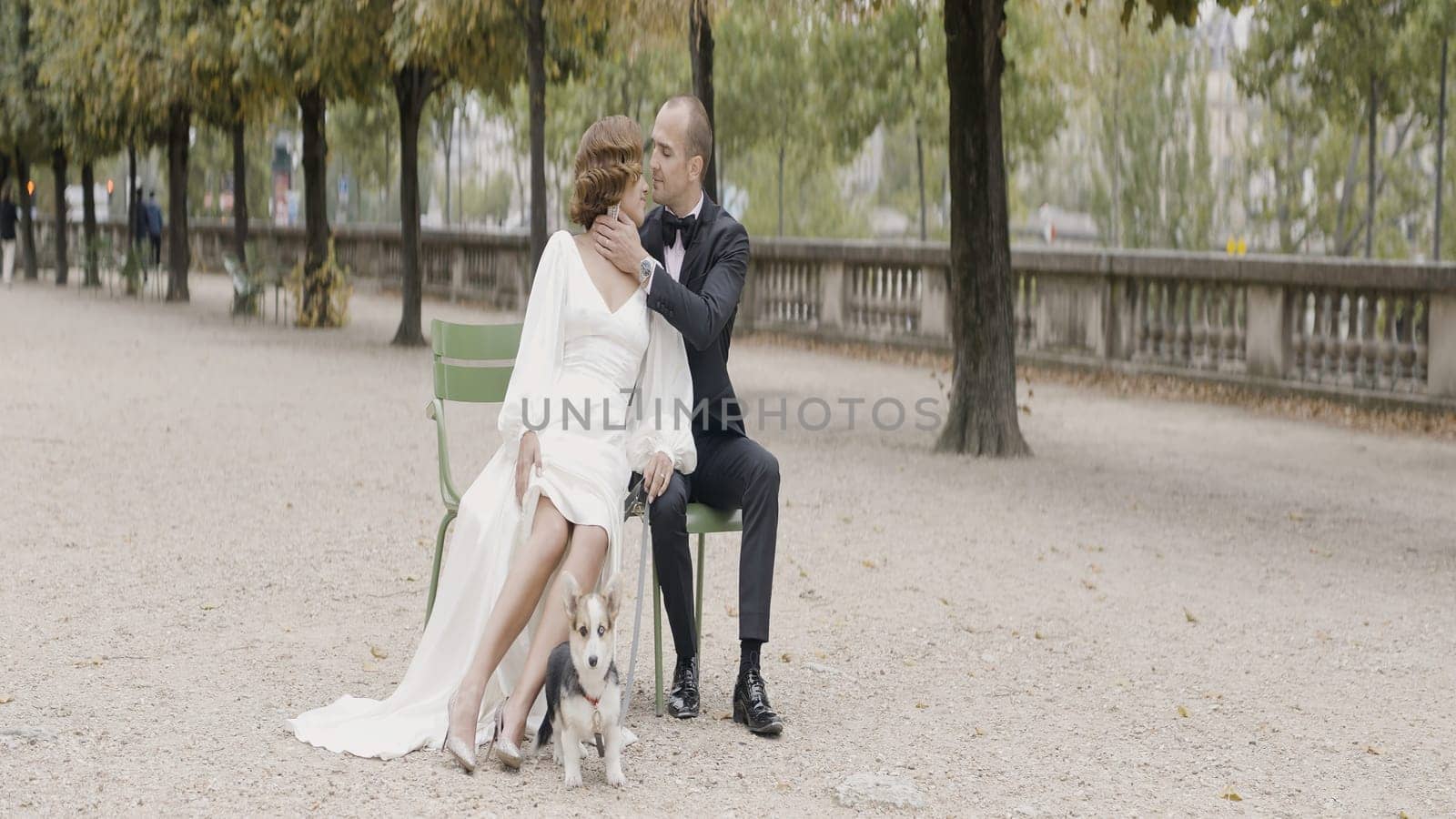 A tender photo shoot of the newlyweds with a dog. Action. A beautiful girl in heels with a white dress and her husband are sitting on a bench with a dog in the yard. by Mediawhalestock