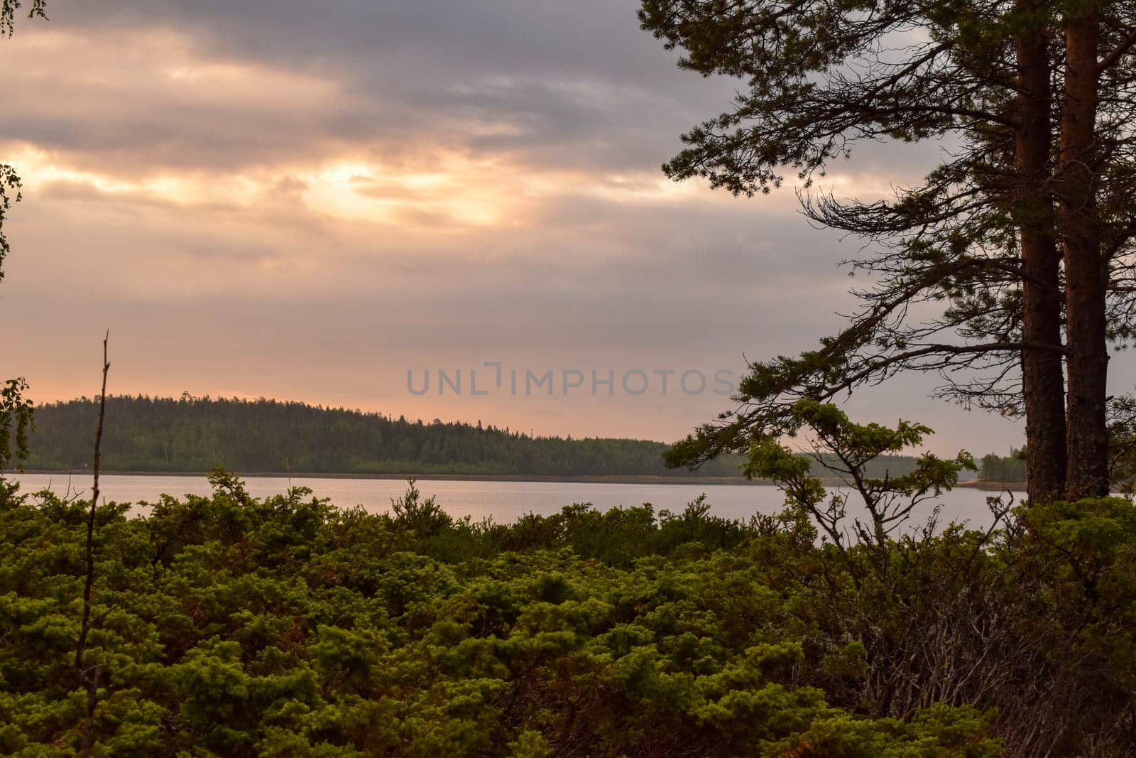 A lake surrounded by trees and bushes under a cloudy sky, high dynamic range