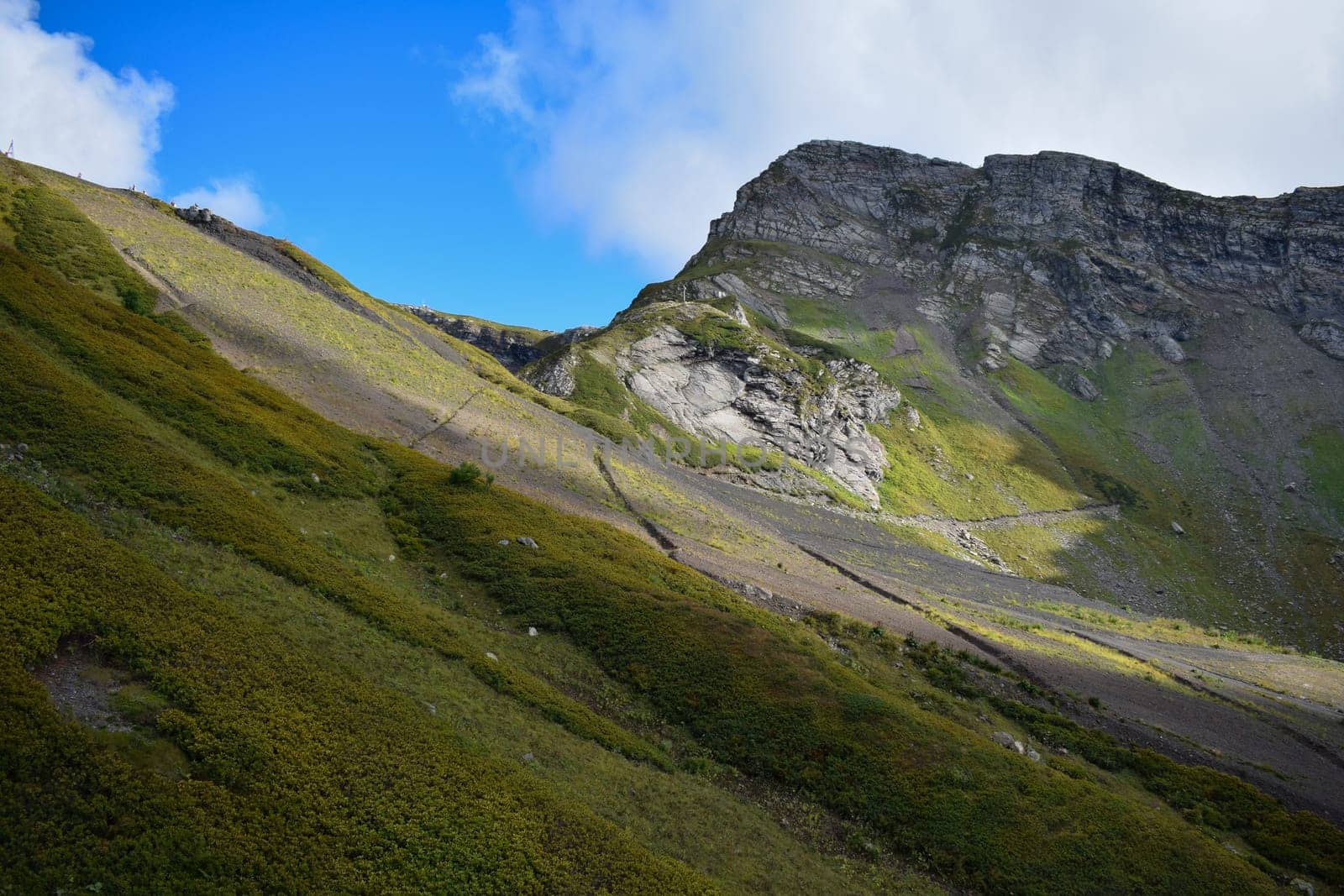 A mountain side with grass and trees on it, featured on unsplash, naturalism, wimmelbilder, panorama