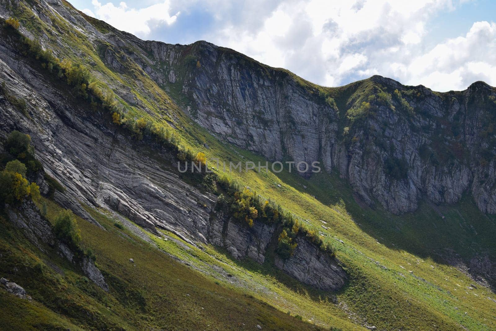 A mountain side with grass and trees on it, featured on unsplash, naturalism, wimmelbilder, panorama