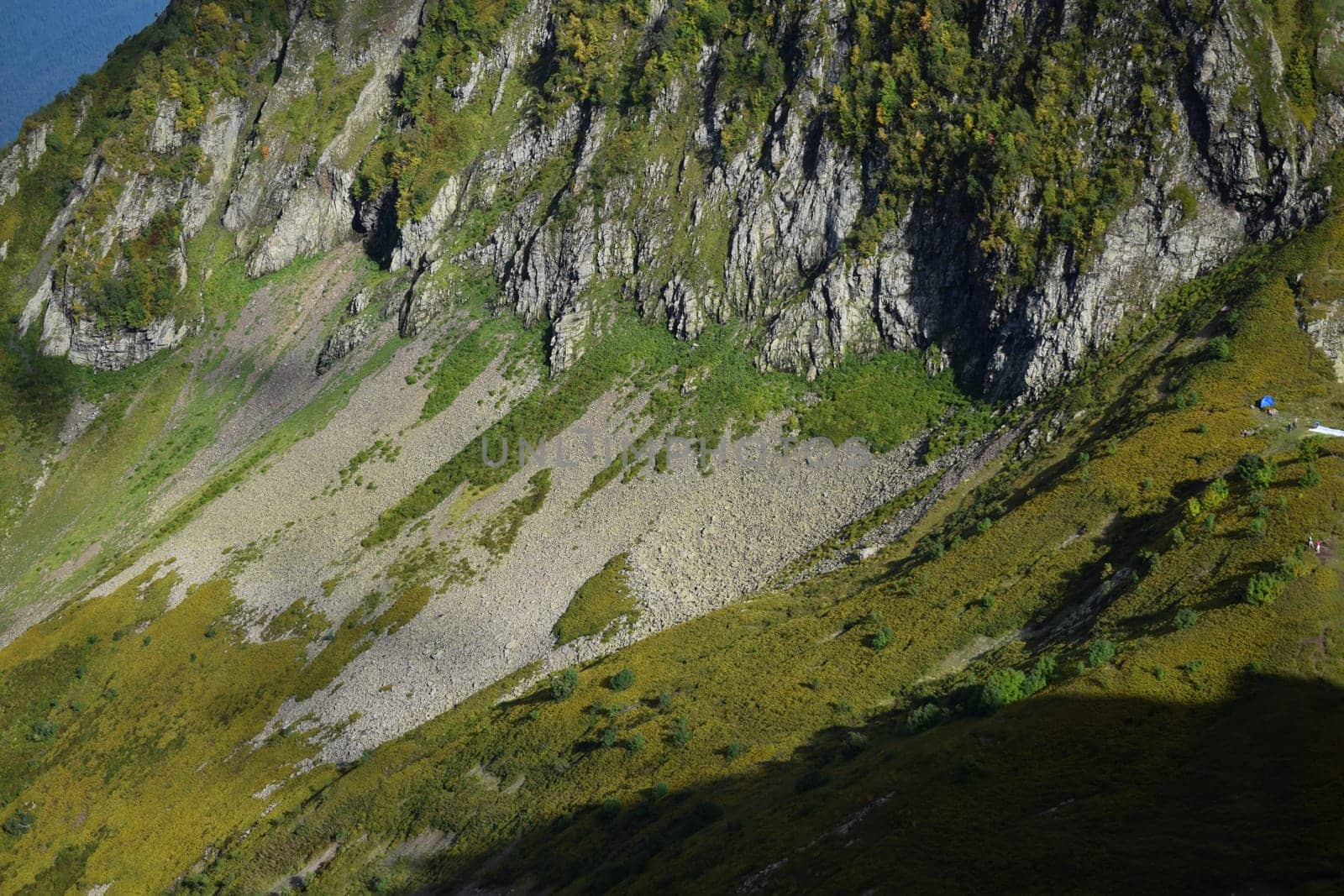 A mountain side with grass and trees on it, featured on unsplash, naturalism, wimmelbilder, panorama