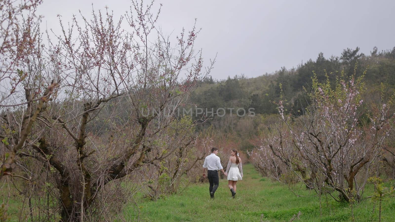 Beautiful couple walks in garden. Action. Couple in love walks through green garden together. Rear view of beautiful couple in love on walk in park.