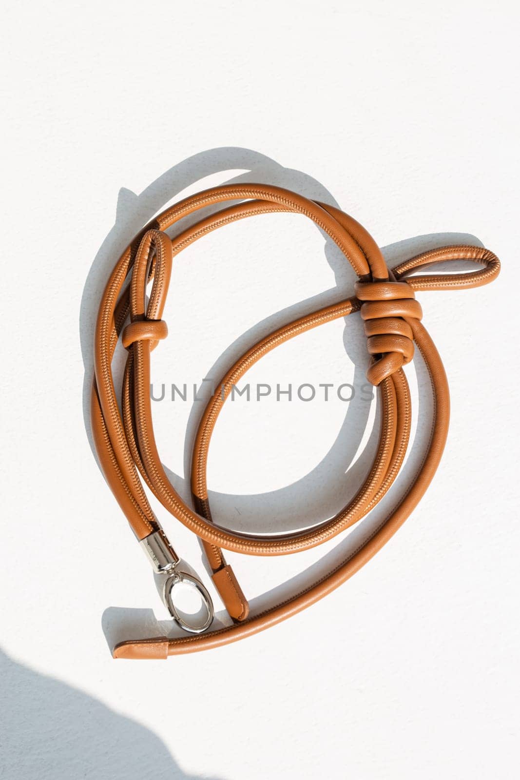 top view female image accessory brown leather belt by Pukhovskiy