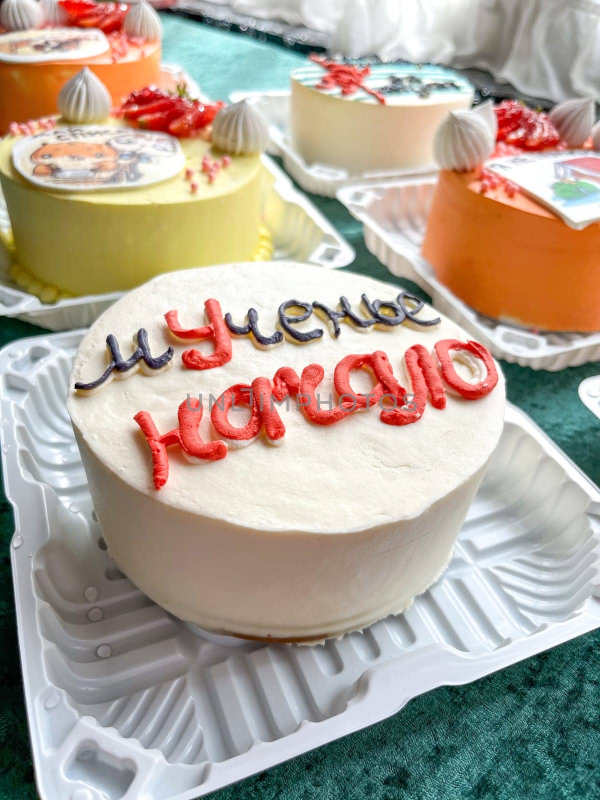 assorted festive bento cakes on the table.