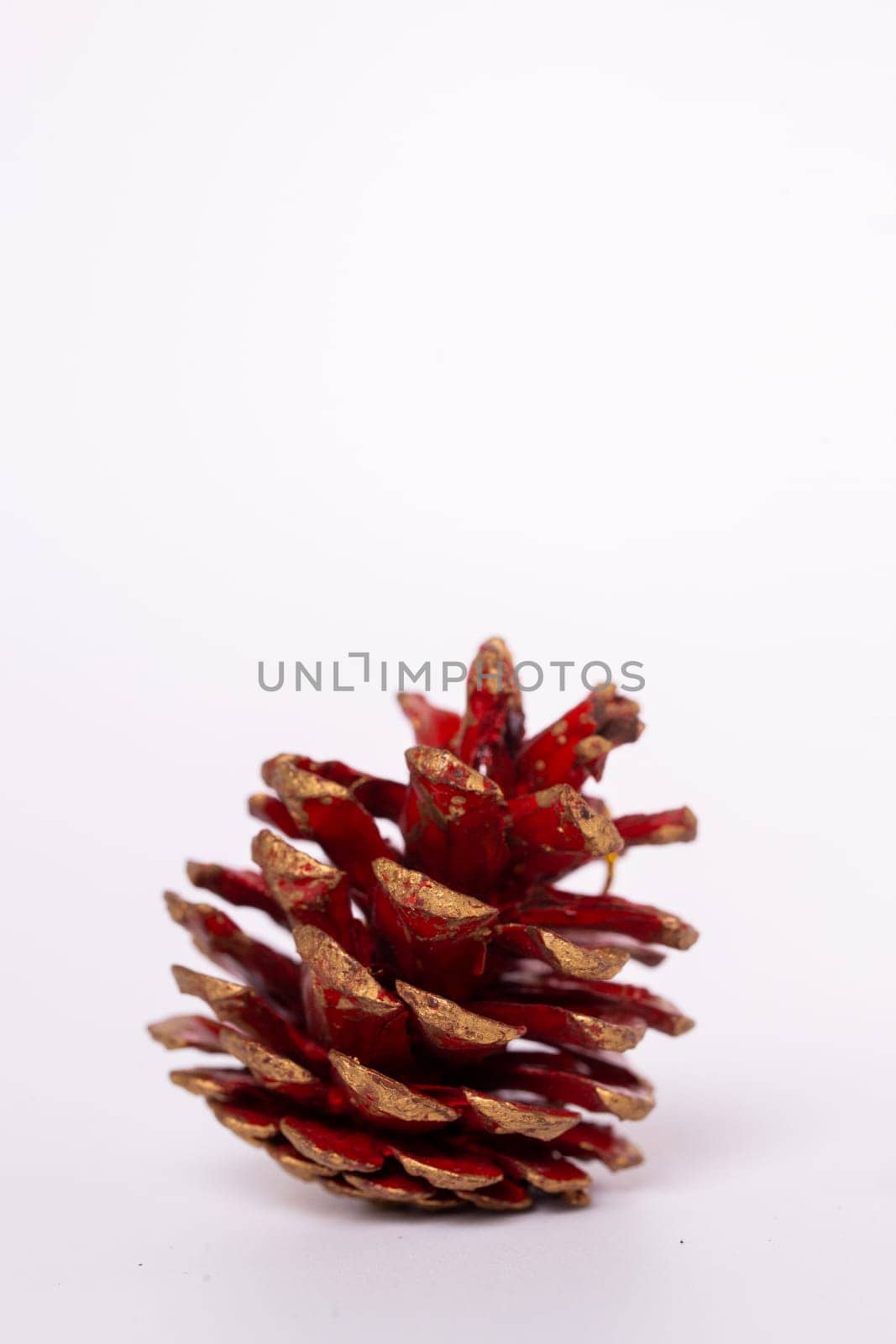 new year's red cedar cone on a white background by Pukhovskiy