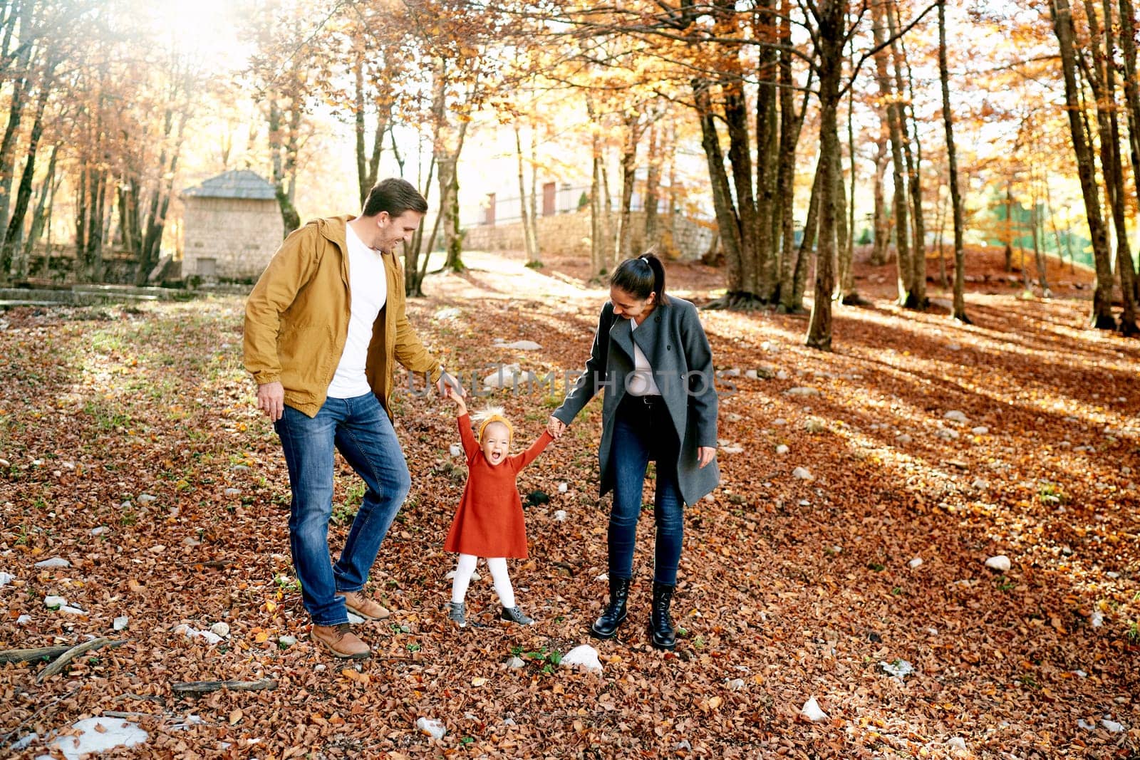 Little laughing girl stands on fallen leaves in the forest, holding hands with mom and dad. High quality photo
