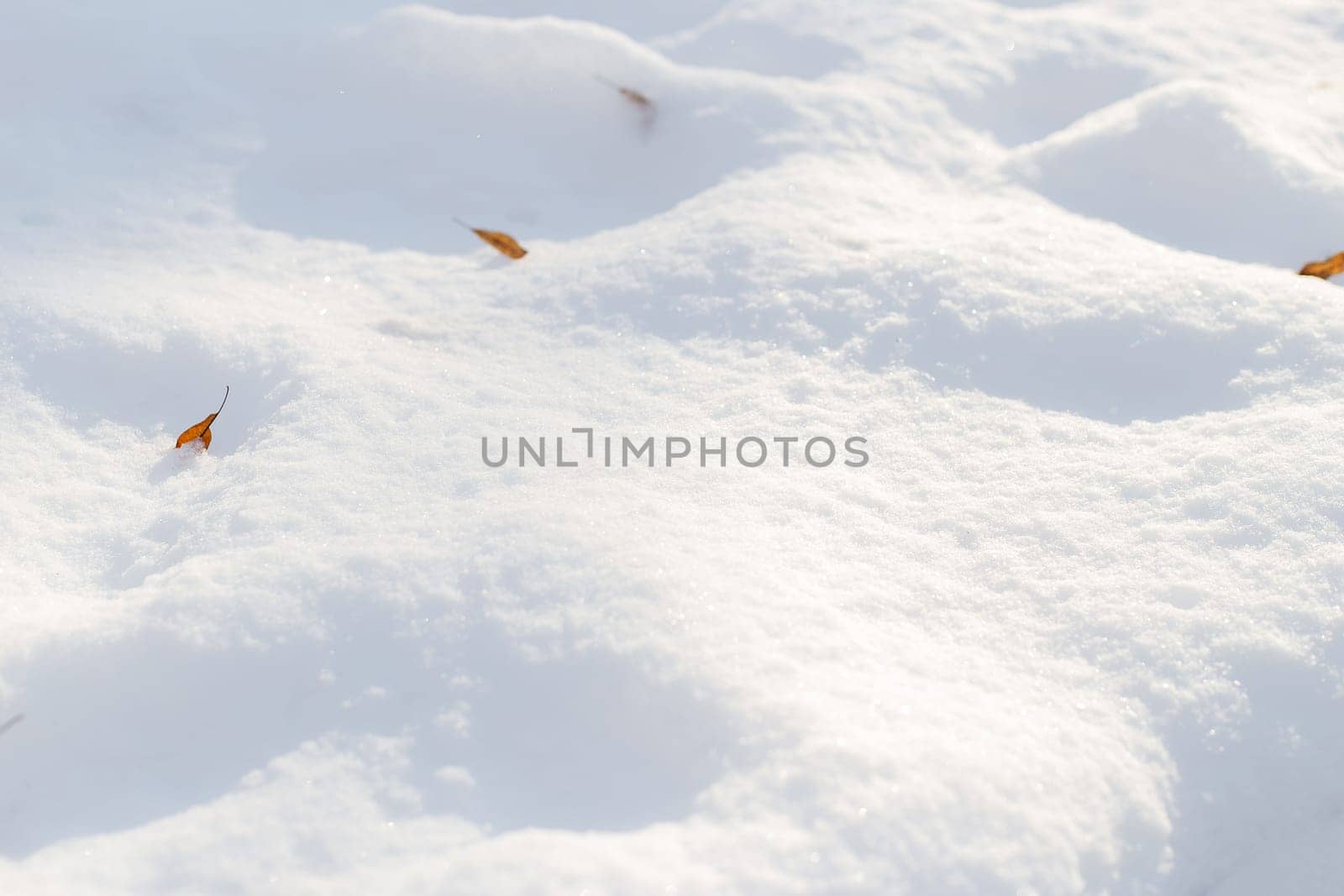 A serene winter landscape with pristine snow and scattered dry leaves. Beautiful shine of snow from the rays of the sun