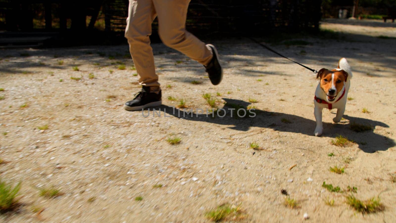 Male legs running with a cute little dog outdoors. Stock footage. Summer park and a lake on the background. by Mediawhalestock