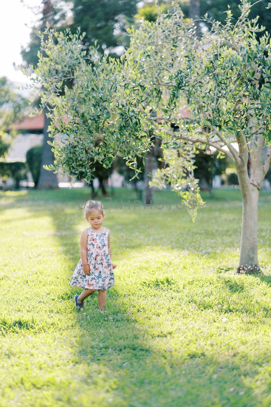 Little girl walks in a clearing near a young tree, looking under her feet. High quality photo