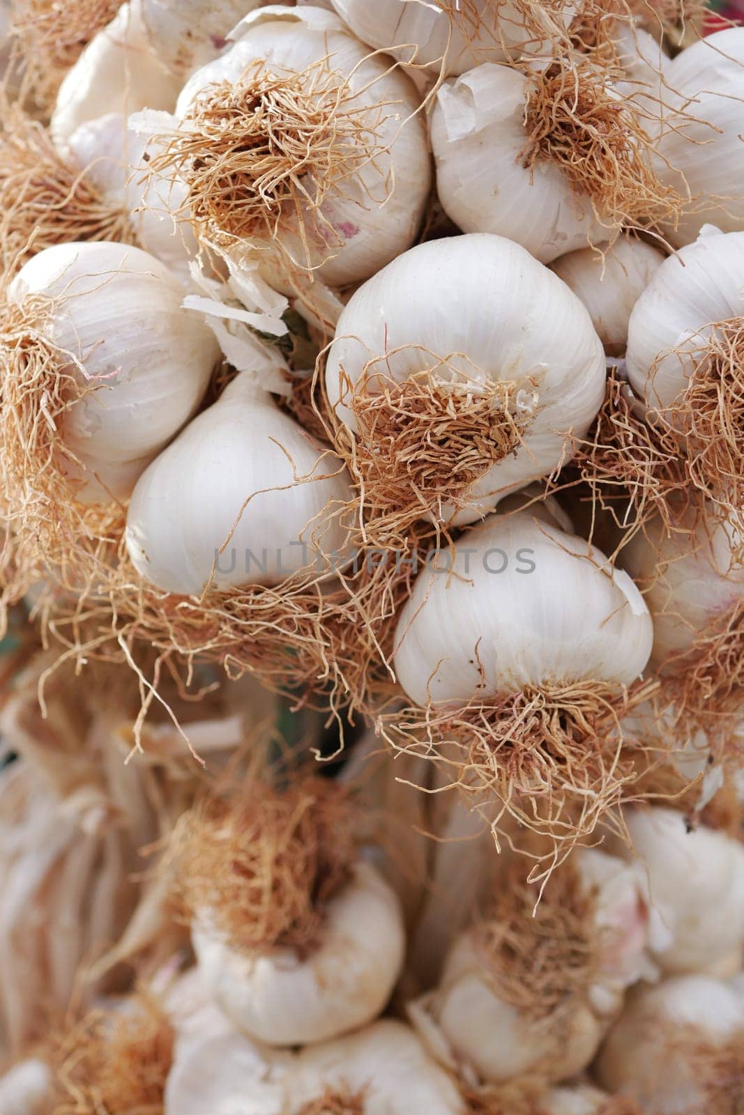 close up pf garlic on white background, by towfiq007