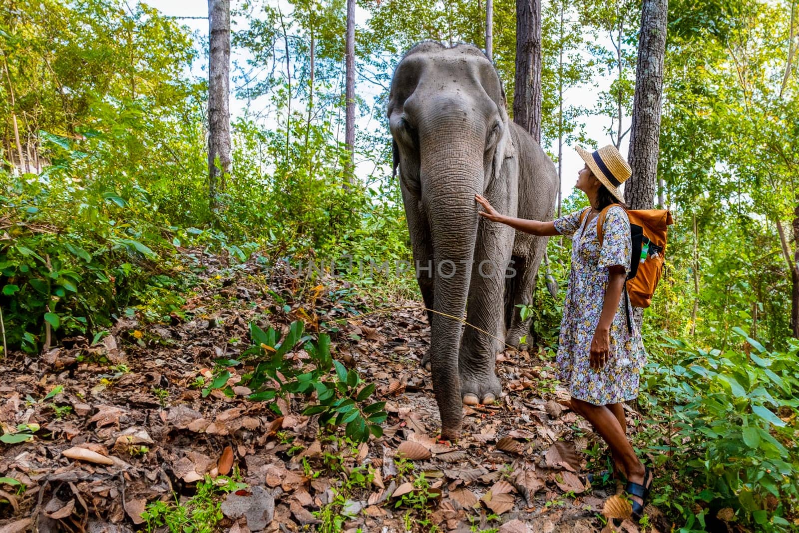 Asian women visiting a Elephant sanctuary in Chiang Mai Thailand, girl with elephant in the jungle by fokkebok