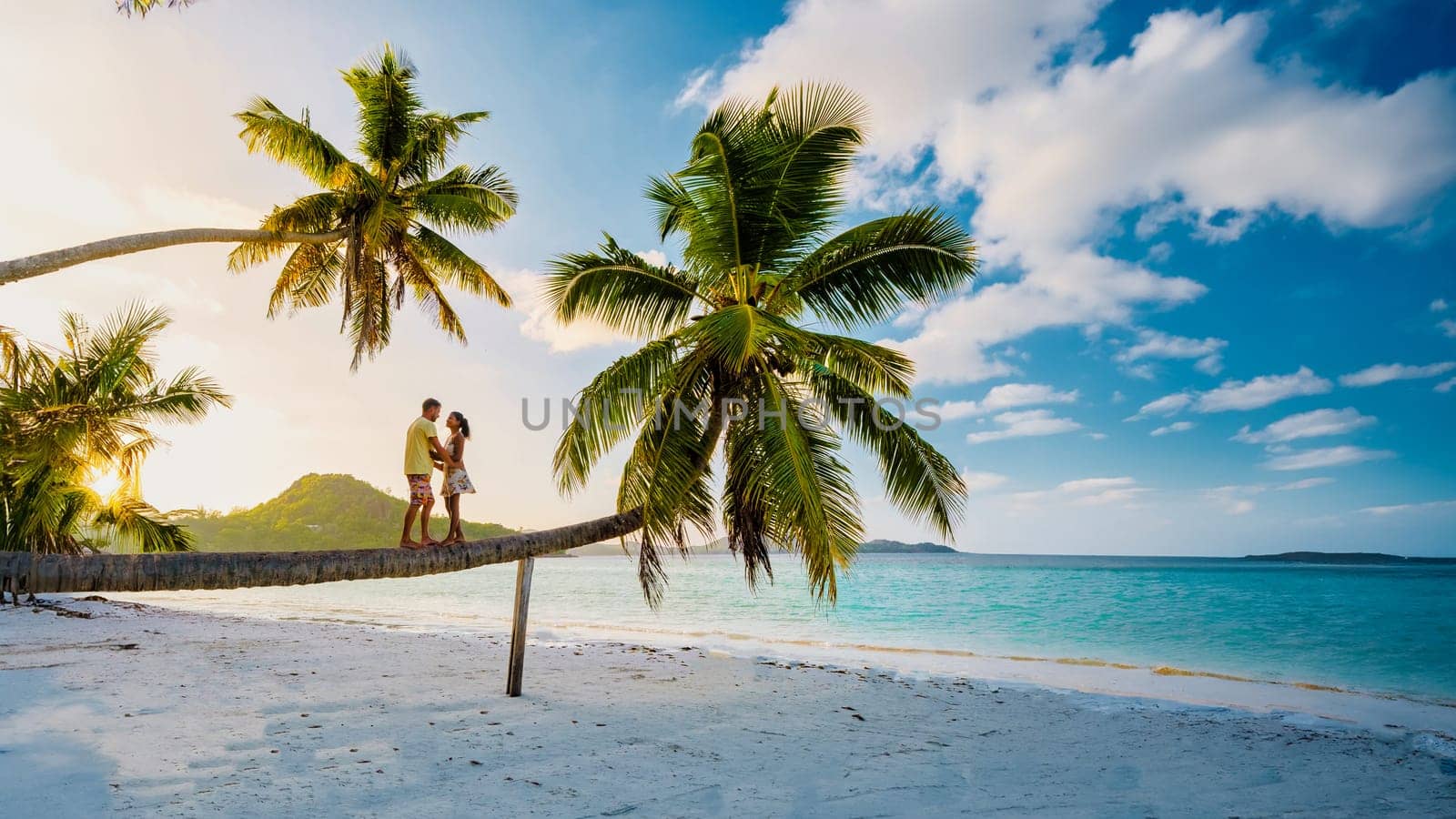 a couple of men and a woman sitting on a palm tree at Anse Volbert Beach Praslin Seychelles watching the sunset