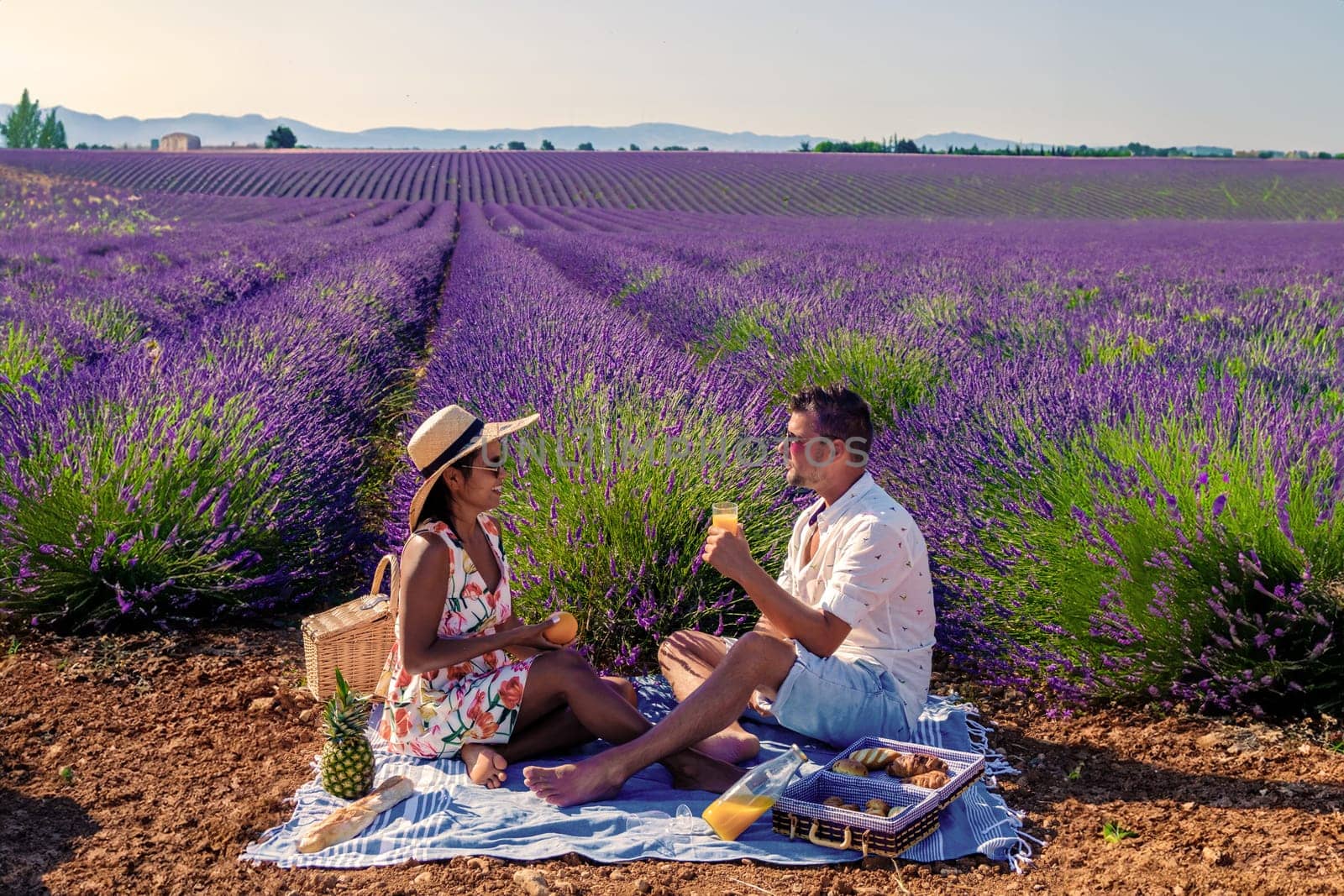 Valensole Provence France, a colorful field of Lavender in bloom Provence Southern France Couple men and women on vacation at the Provence Southern France picnic in a lavender field