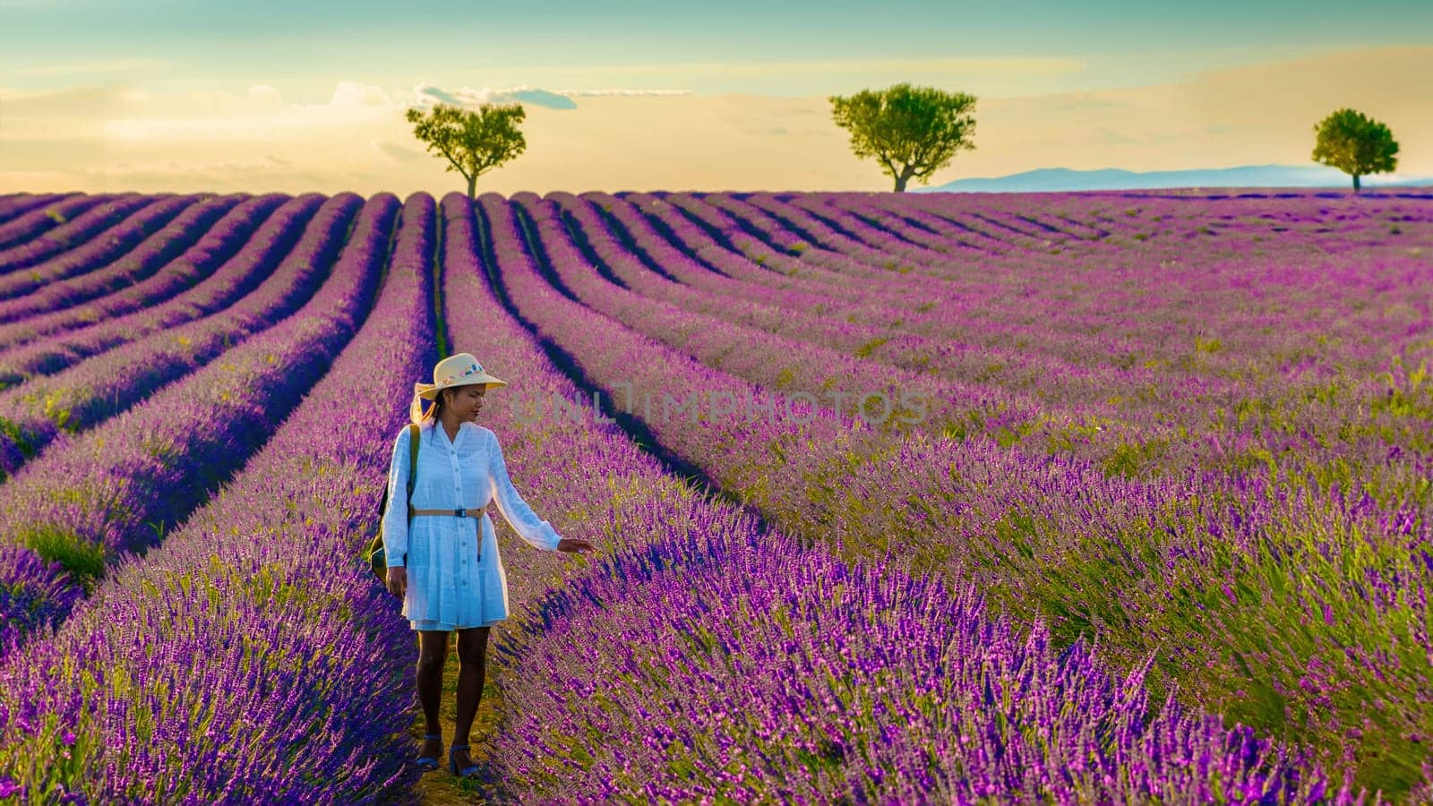 Asian woman walking in a lavender field in France at Valensole Provence by fokkebok