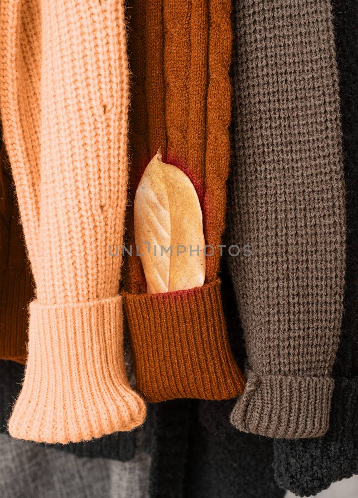 Color of the year 2024: Peach Fuzz. Row of different colorful Knitted sweaters hang on hangers, white background by Desperada