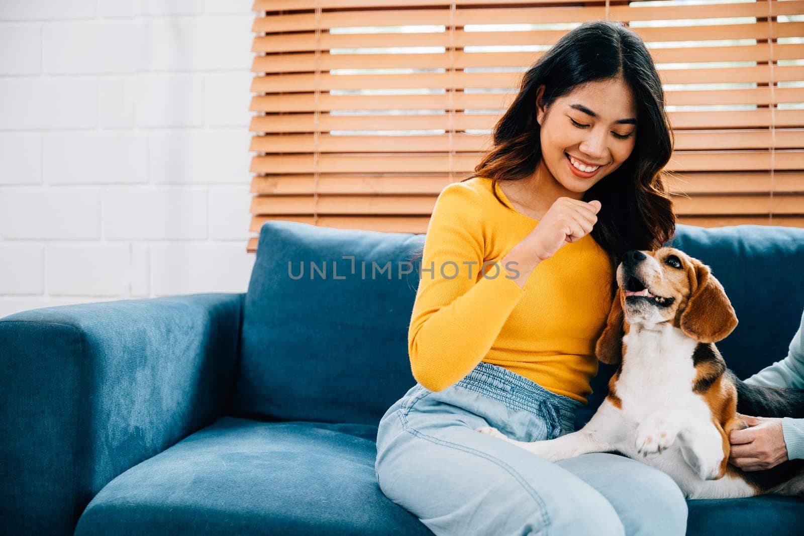 In an affectionate family portrait, a woman and her mother enjoy a bonding session with their Beagle dog on the sofa. Their love and loyalty shine through in their smiles. Pet love