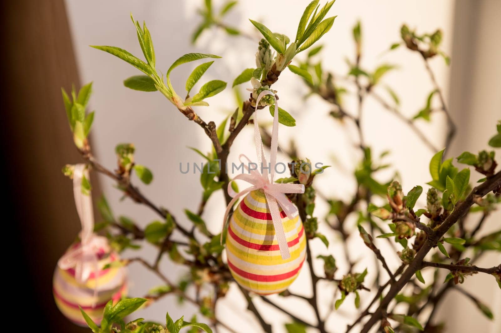 Easter eggs hanging on a spring blossom branch. Easter decorations. Birch tree branches decorated with bright painted eggs. Postcard. Selective focus.holiday arrangement by YuliaYaspe1979