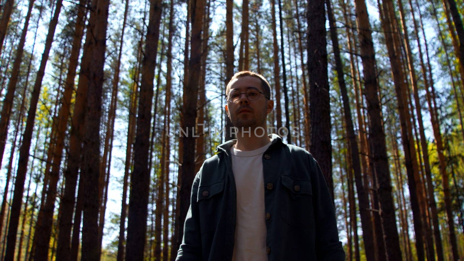 Young man spending time alone in summer forest. Stock footage. Walking along pine trees on a sunny day