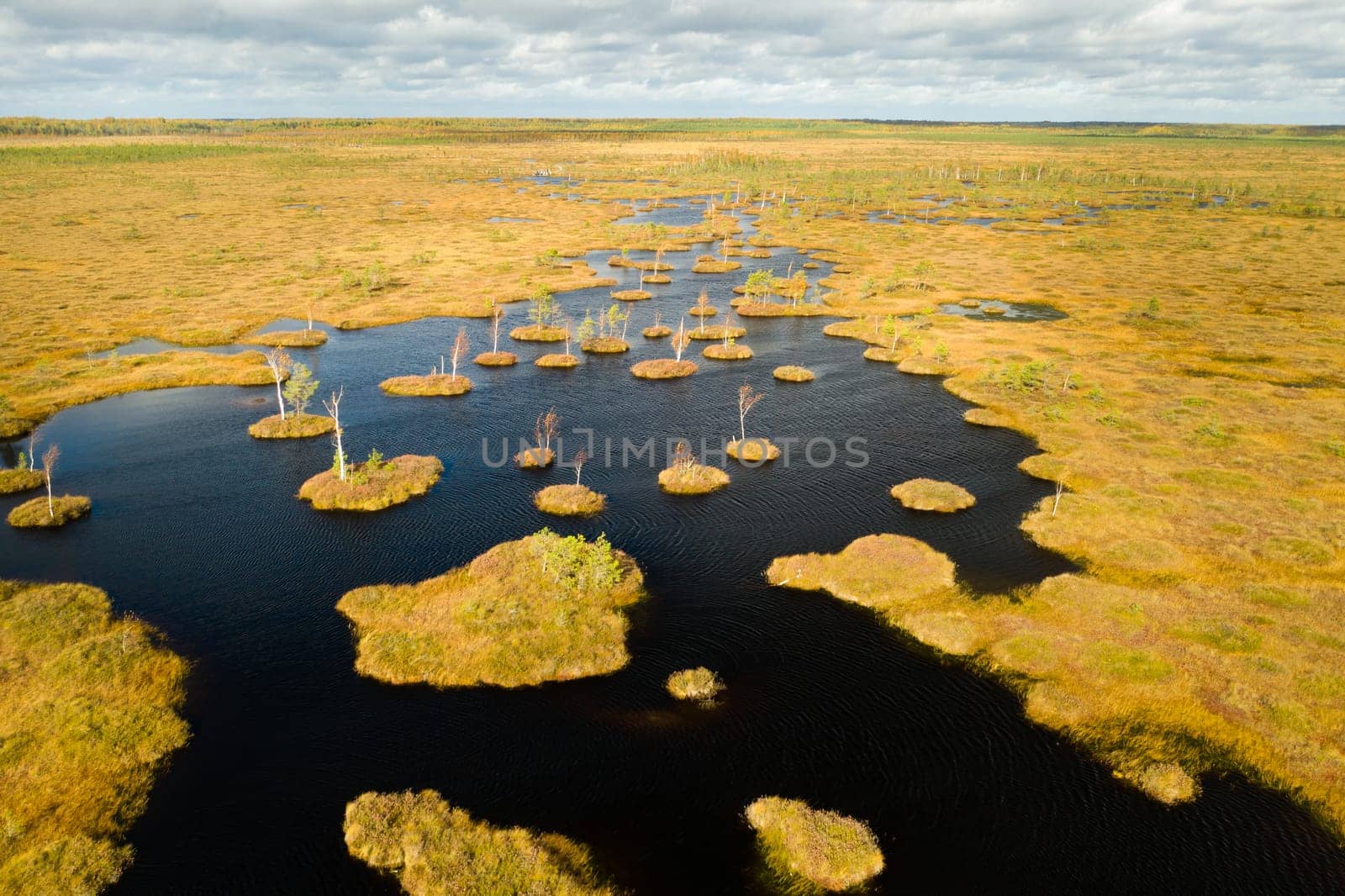 An aerial view of an autumn bog in Yelnya, Belarus, autumn. Ecosystems ecological problems climate change.