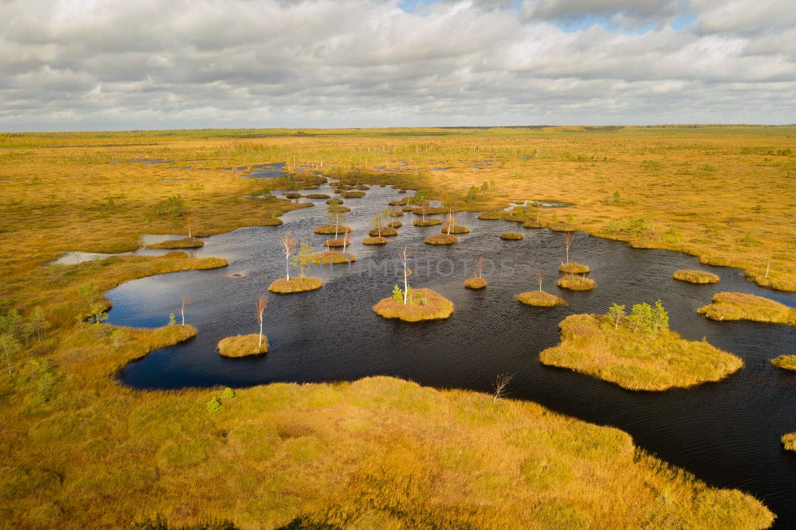 An aerial view of an autumn bog in Yelnya, Belarus, autumn. Ecosystems ecological problems climate change.