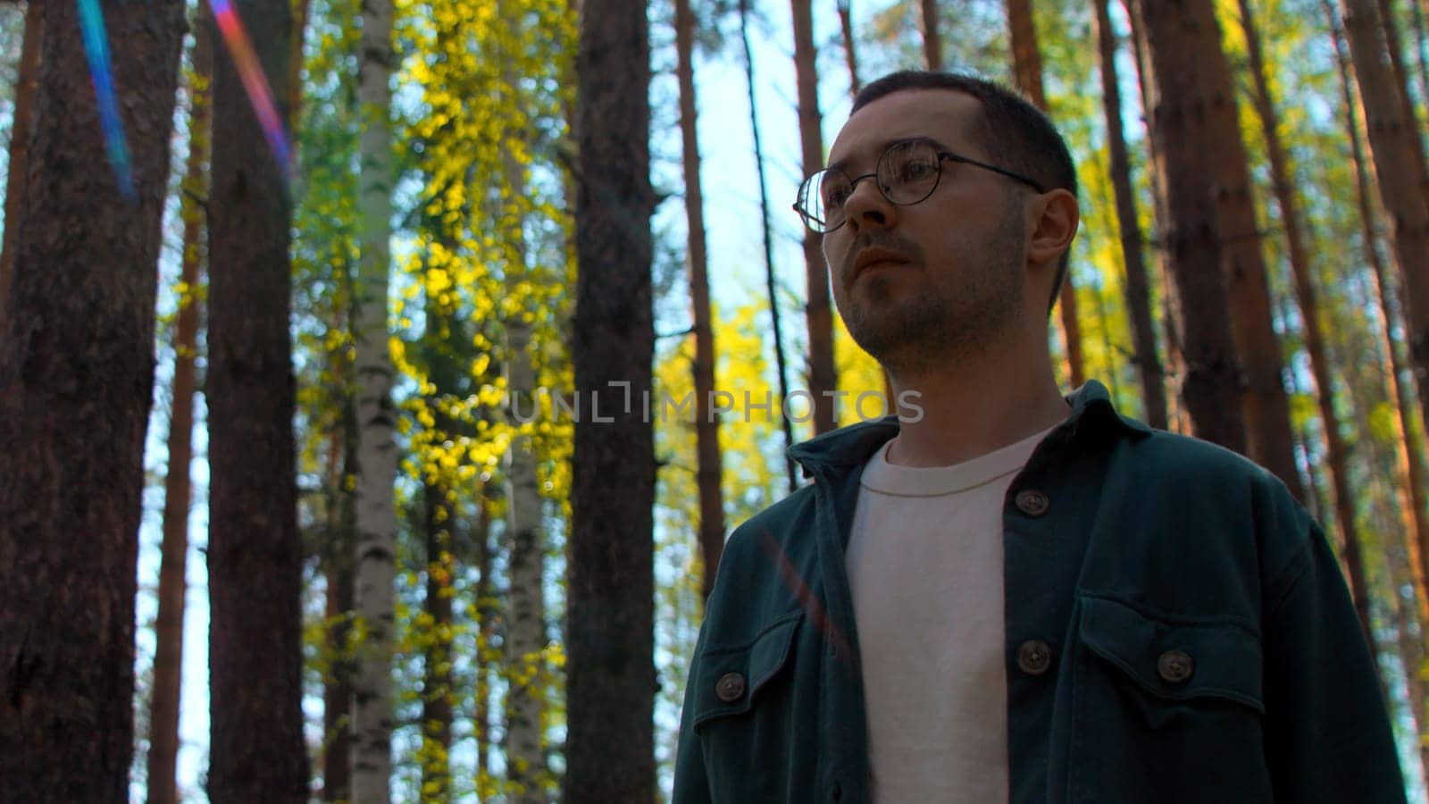 Young man spending time alone in summer forest. Stock footage. Walking along pine trees on a sunny day