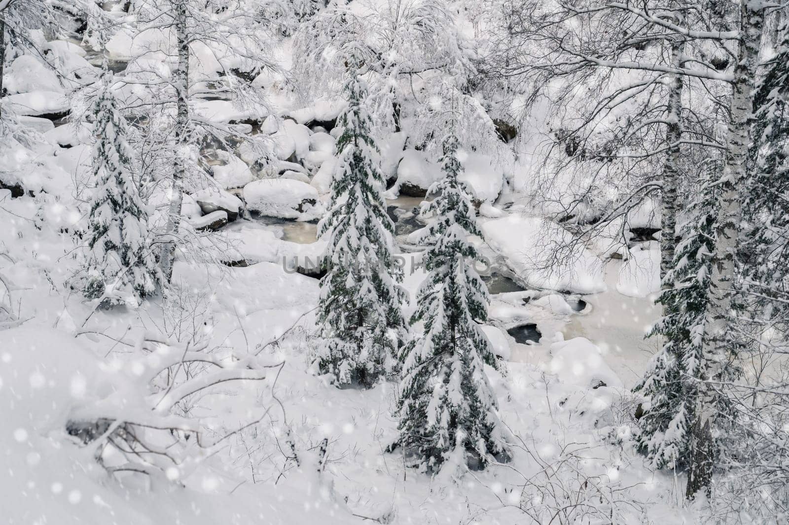 Beauty winter landscape with fair trees under the snow.