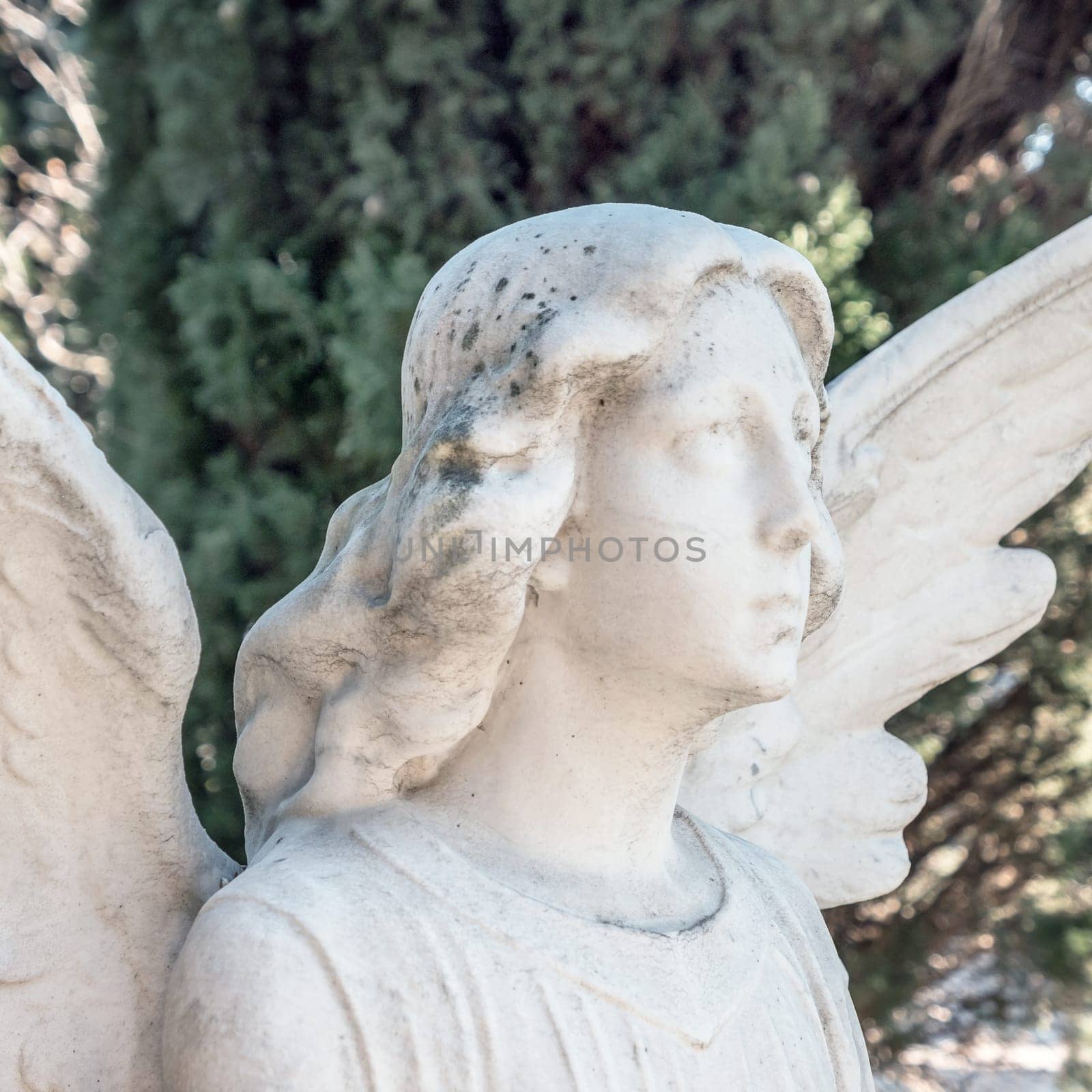 Old statue of a sad angel against the background of leaves
