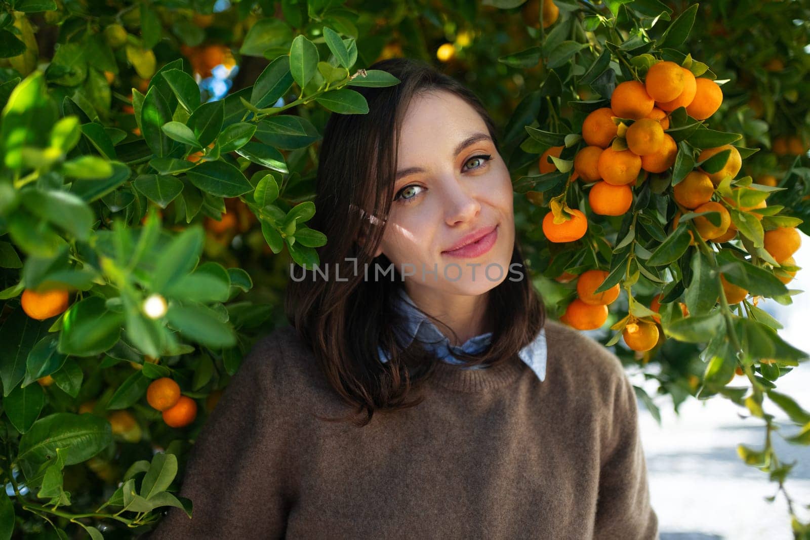 Girl standing under branches of tangerines surrounded citrus fruits by andreonegin