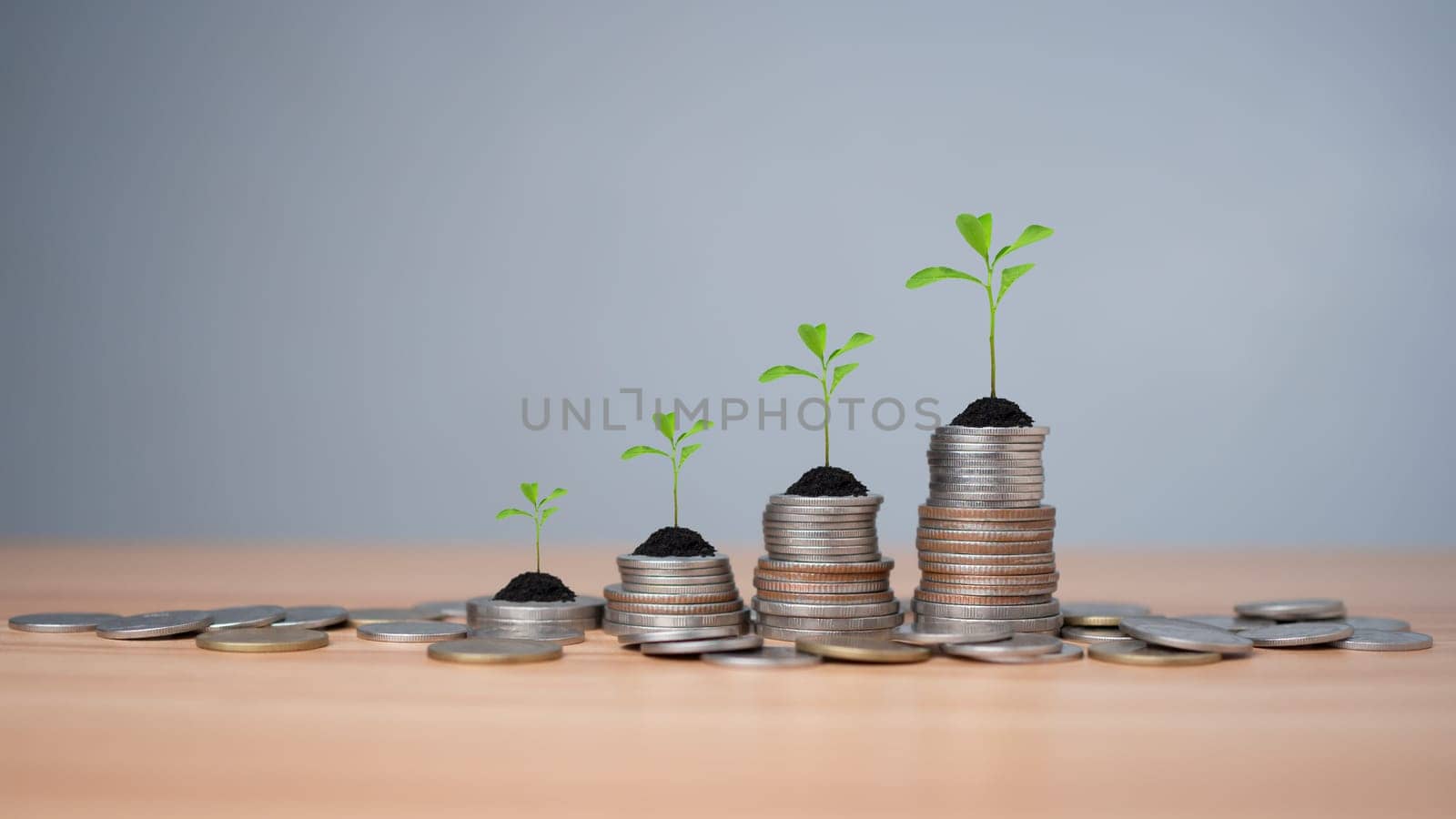 Concept of investment growth, Showing financial developments and business growth with a growing tree on a coin, Money Growth Concept, Concept of rich wealthy and saving money, Investing in stocks. by Unimages2527