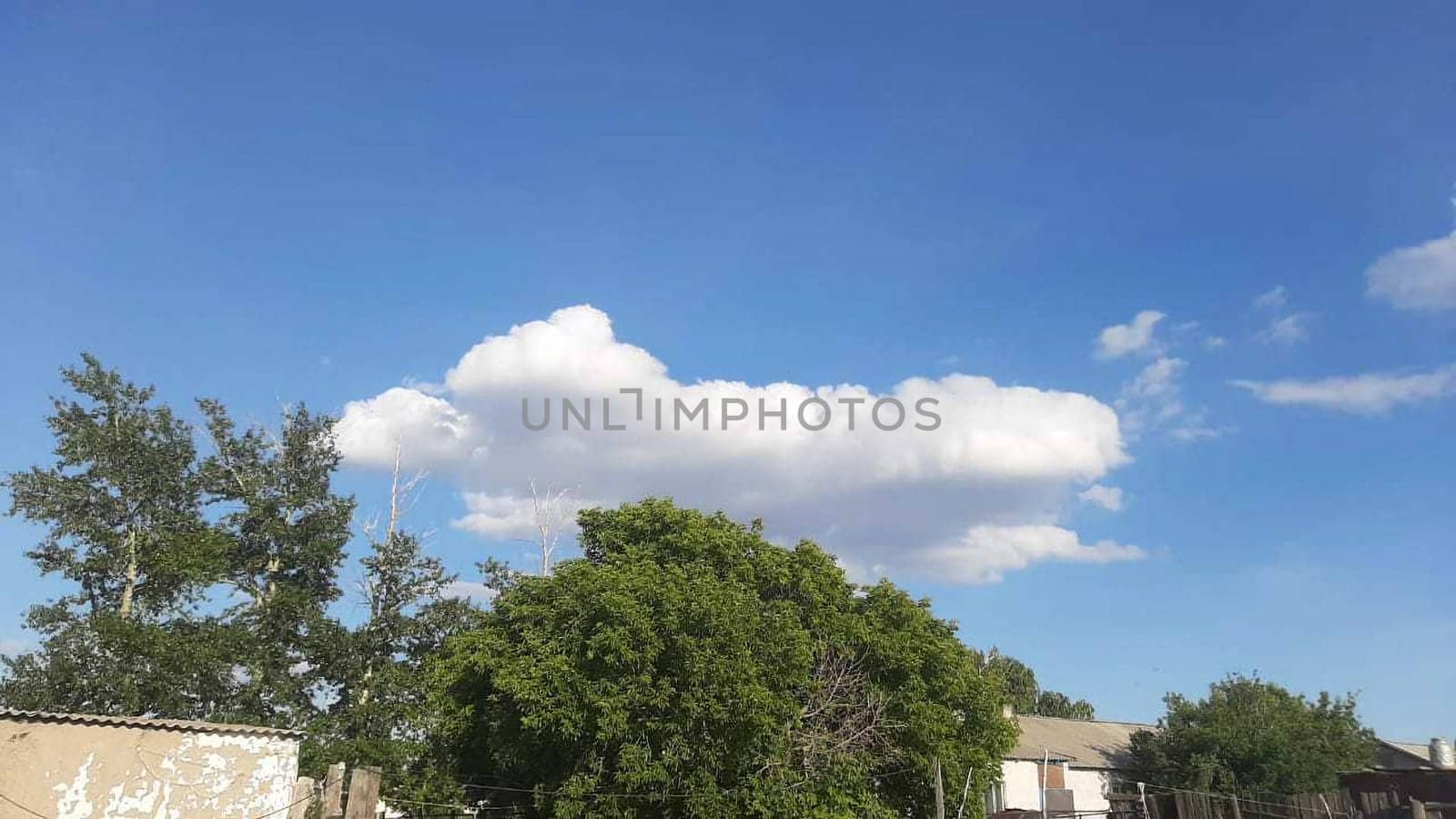 rustic landscape sky and trees upstairs view. High quality photo natural shooting without filters.