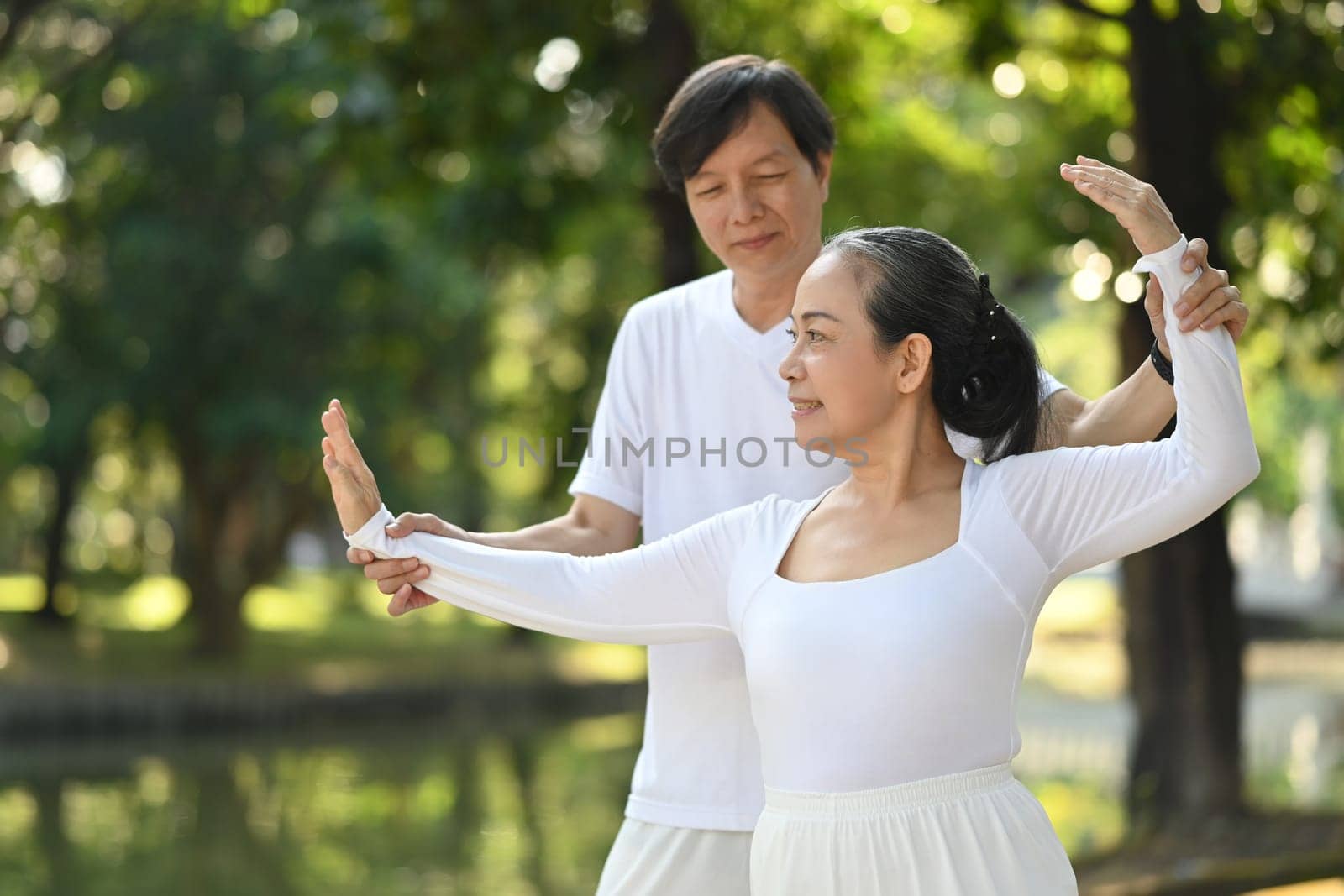 Active middle aged couple practicing posture during Tai Chi class in the park. Health care and wellness concept. by prathanchorruangsak