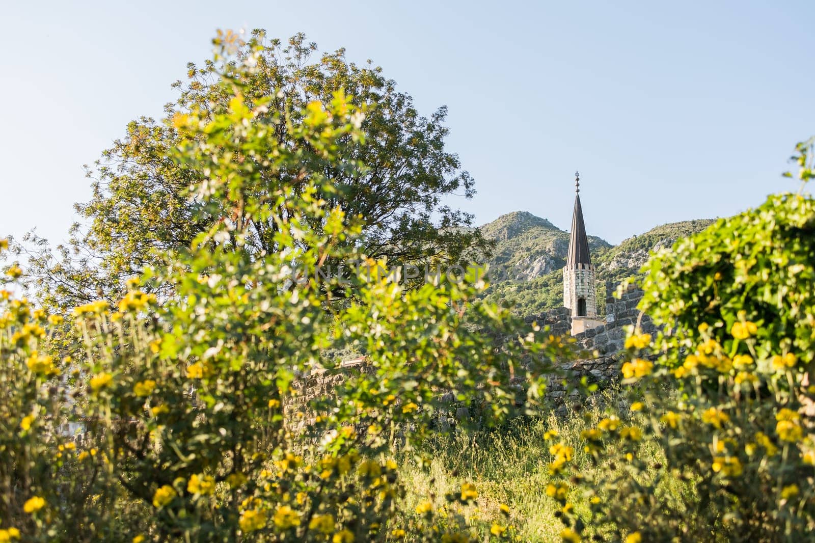 Stari Bar Old Bar town in Montenegro. View of the city mosque minaret and Balkan nature.