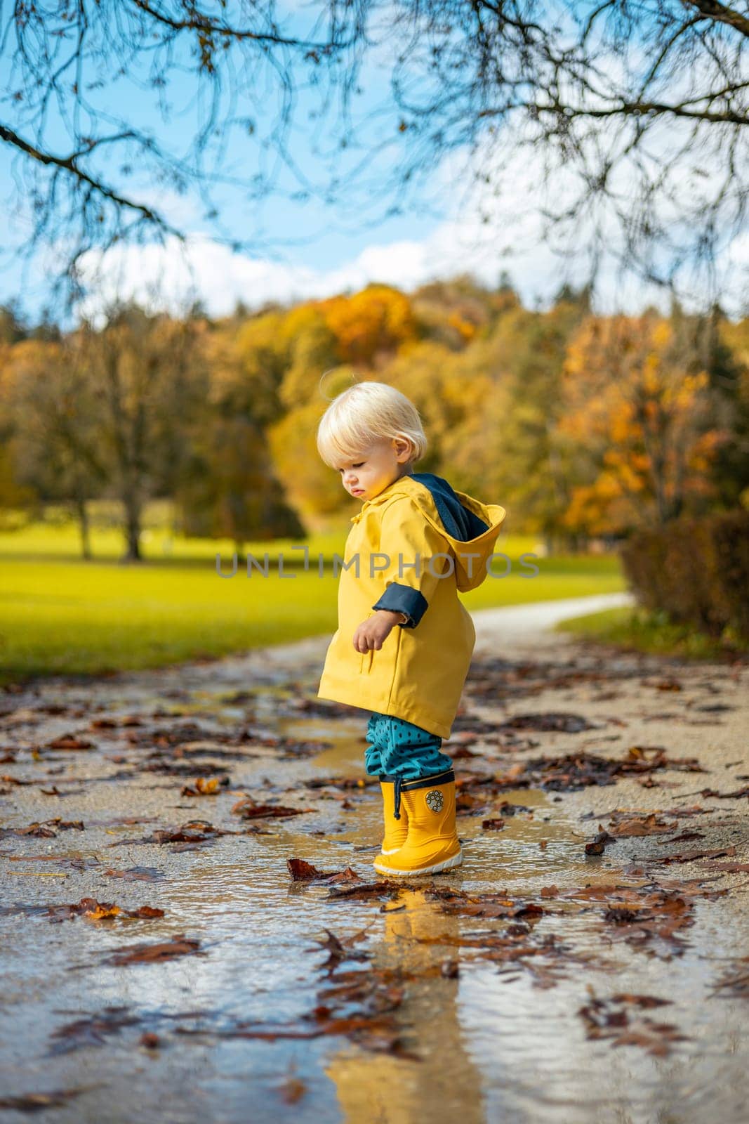 Sun always shines after the rain. Small bond infant boy wearing yellow rubber boots and yellow waterproof raincoat walking in puddles in city park on sunny rainy day. by kasto