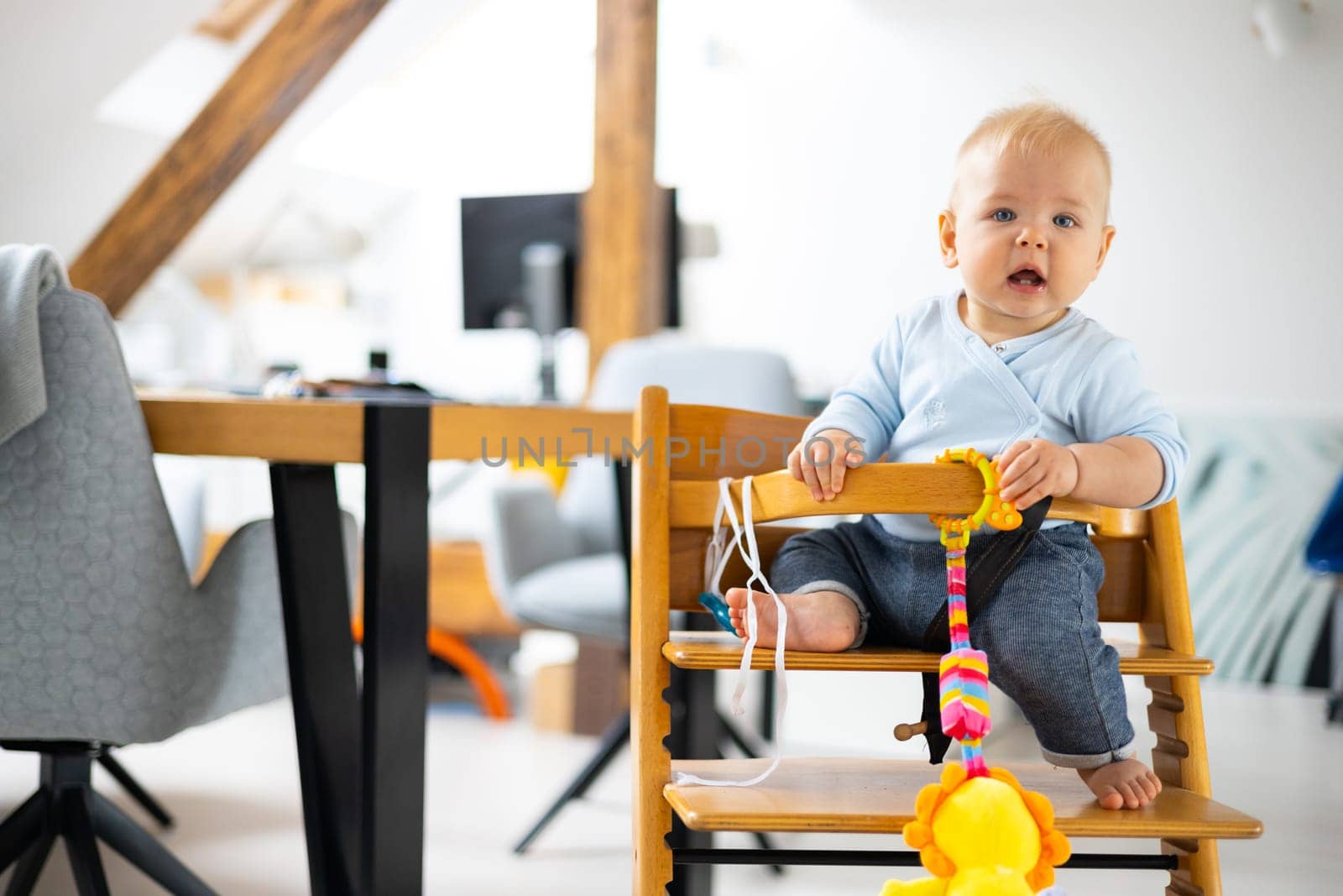 Happy infant sitting and playing with his toy in traditional scandinavian designer wooden high chair in modern bright atic home. Cute baby. by kasto