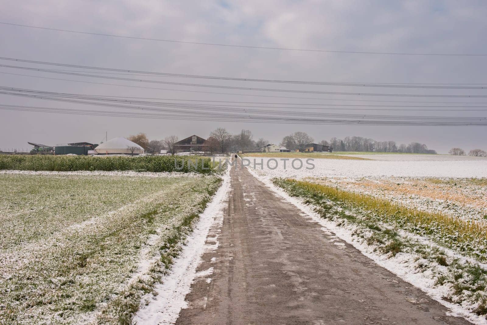 Harmony of Winter Elements: Snow-Clad Fields, Scenic Rural Roads, and the Festive Spirit of Christmas. Winter Symphony: Snow-Covered Fields, Rural Roads, and Christmas Delight by Andrii_Ko