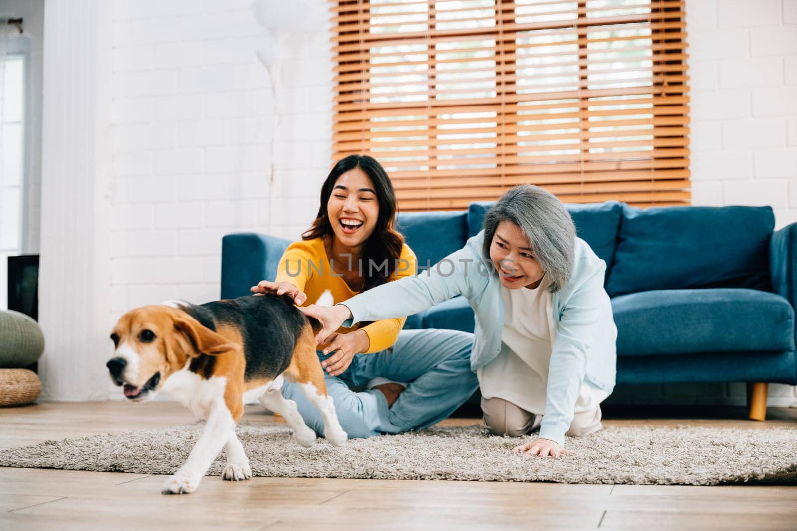 In their cozy living room, a barefoot woman and her mother run with their Beagle dog, showcasing their active and friendly lifestyle. It's a delightful scene of family togetherness. pet love
