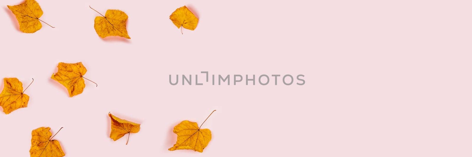 Fall web banner. Pink background with orange dry leaves in a left corner. Flat lay, top view, copy space.