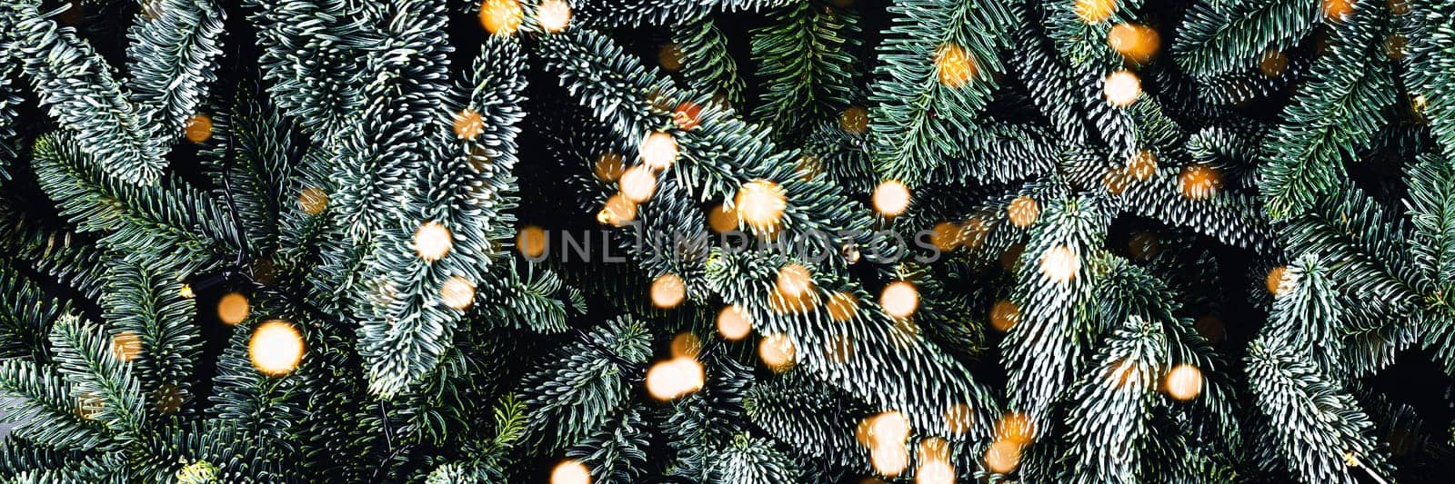 Christmas card. Fir brunches with lights. by AlexAbramova