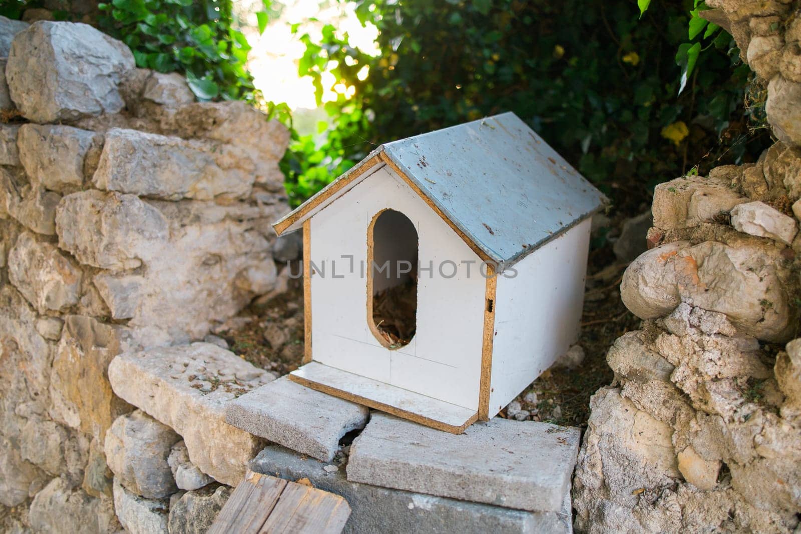 Hand made house for homeless cats stands in the park among the trees
