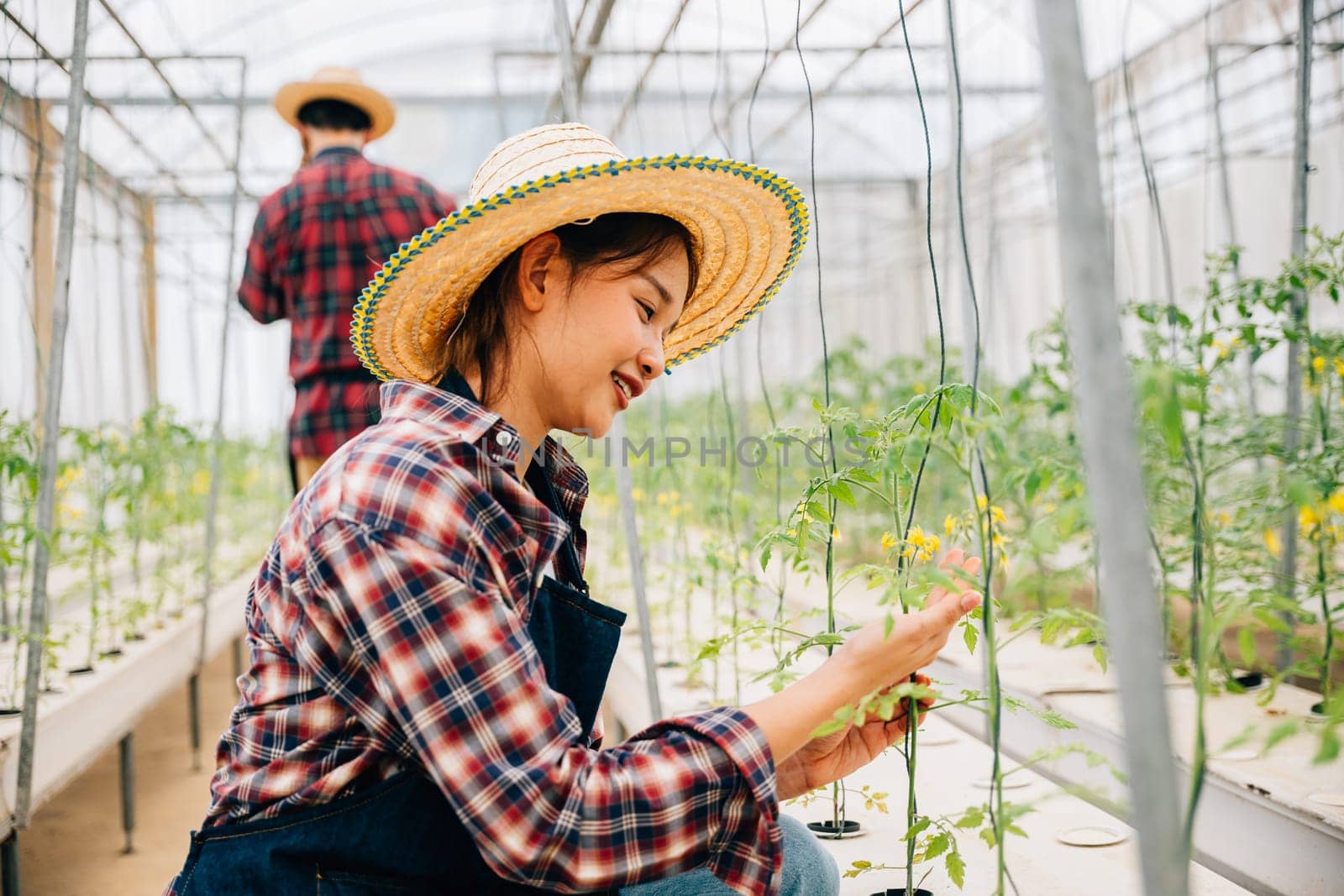 Woman in the greenhouse an entrepreneur and owner checks tomato plants for quality using modern technology. Ensuring optimal growth and care she showcases happiness in her thriving vegetable farm.