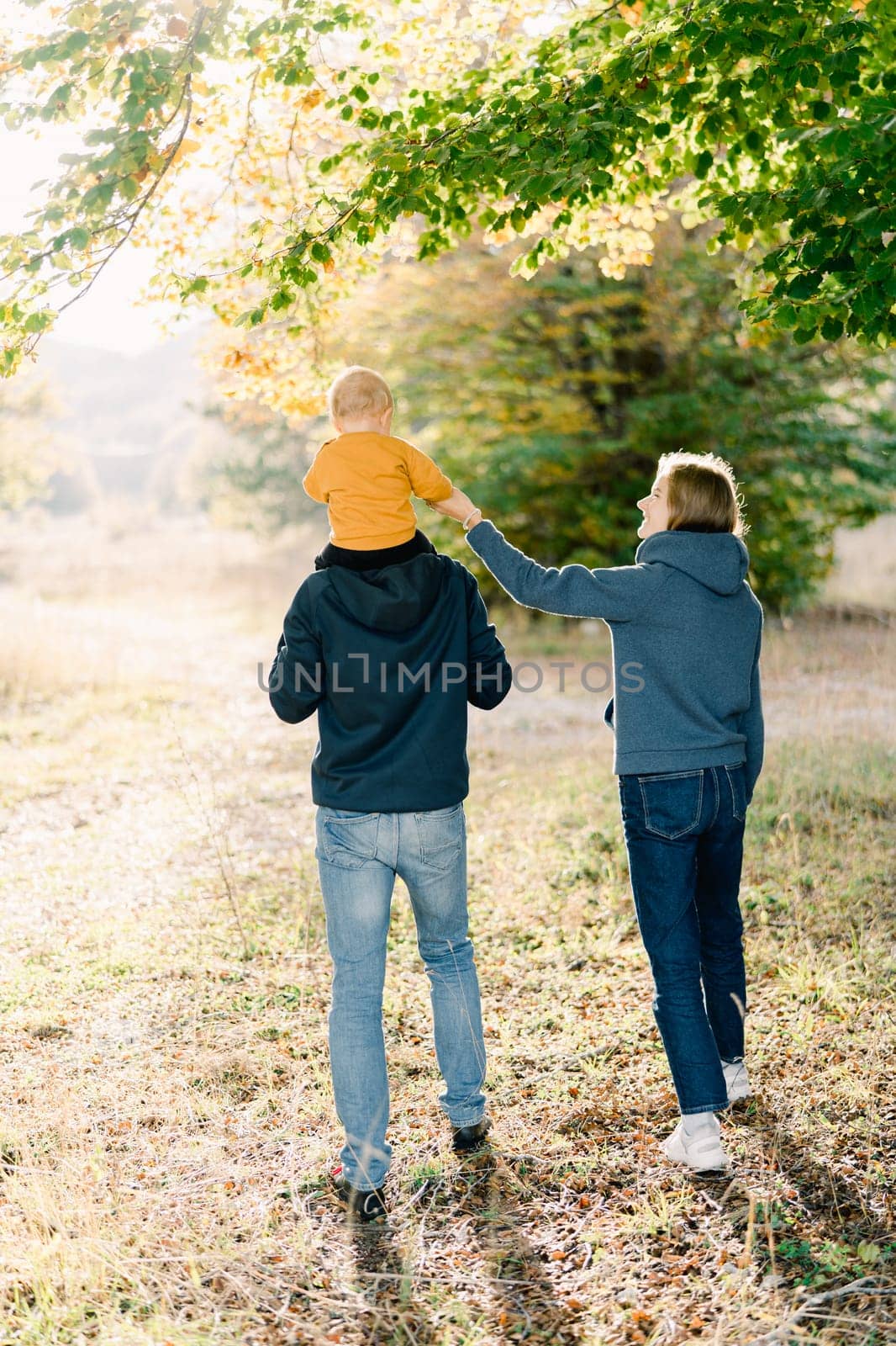 Mom holds the hand of a little boy whom dad carries on his shoulders through the park. Back view. High quality photo