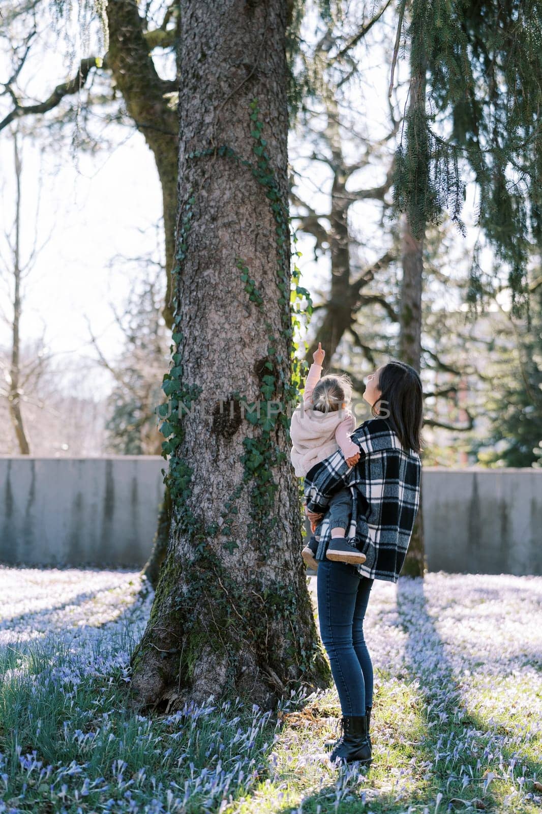 Little girl points up while sitting in the arms of her mom standing by a tree. Back view. High quality photo