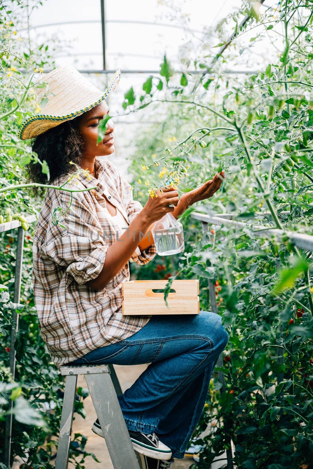 A black woman farmer sprays water on tomato plants in a greenhouse using a bottle. Employing technology for plant care and fostering growth in vegetable farming.