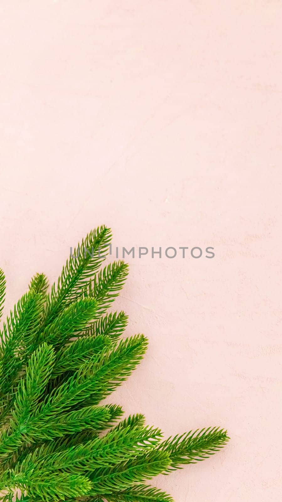 A bouquet of fir branches lies on the left on a soft pink background, and on the right is a copy space from above, flat lay close-up.